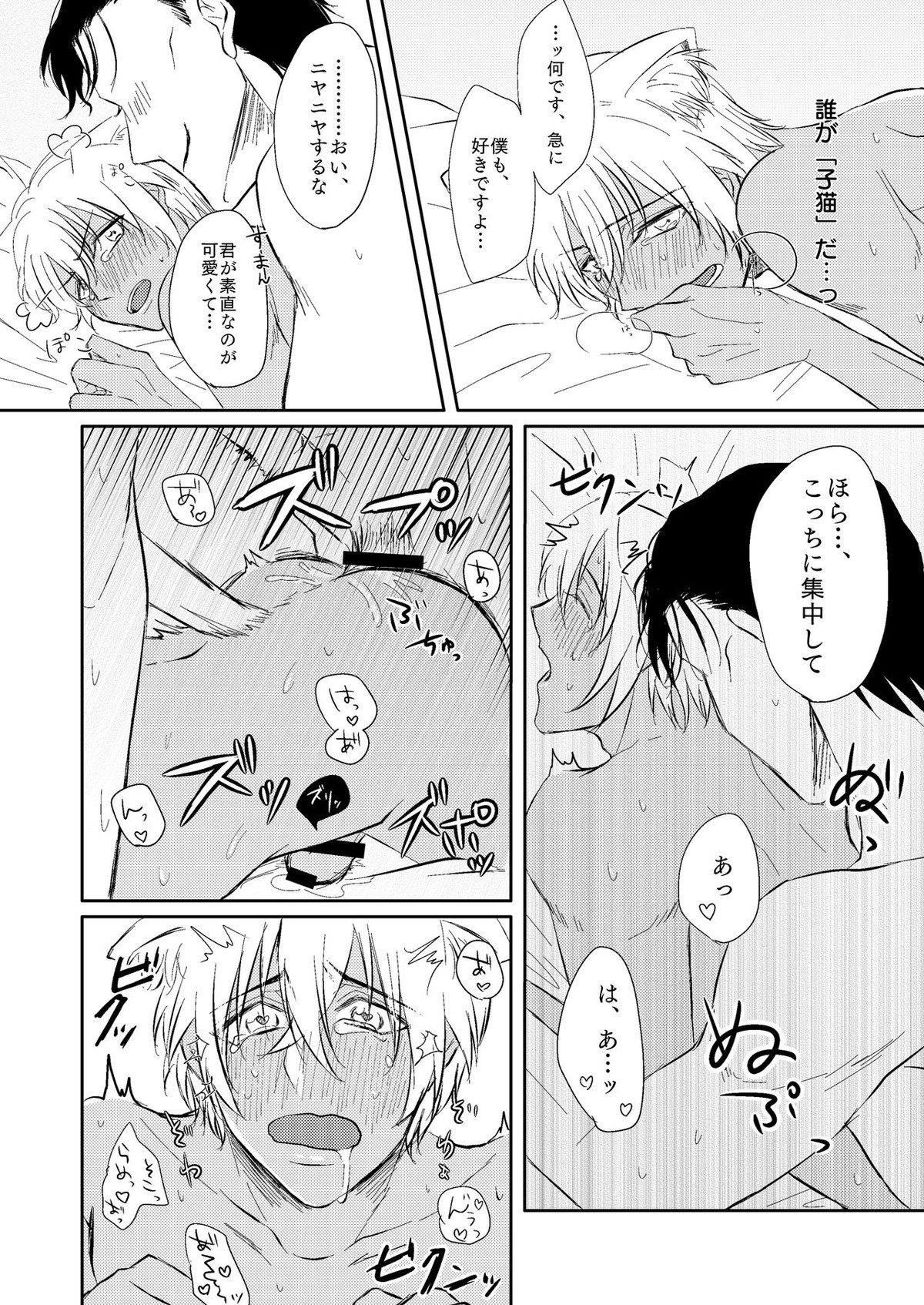 DON'T CRY MY KITTY!!【名探偵コナン/赤降(赤井×降谷)】 page 27