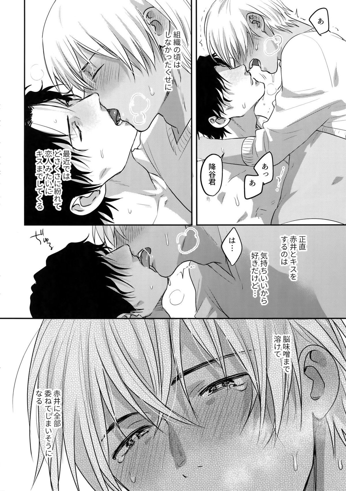 蕩けるおくすり【名探偵コナン/赤降(赤井×降谷)】 page 17