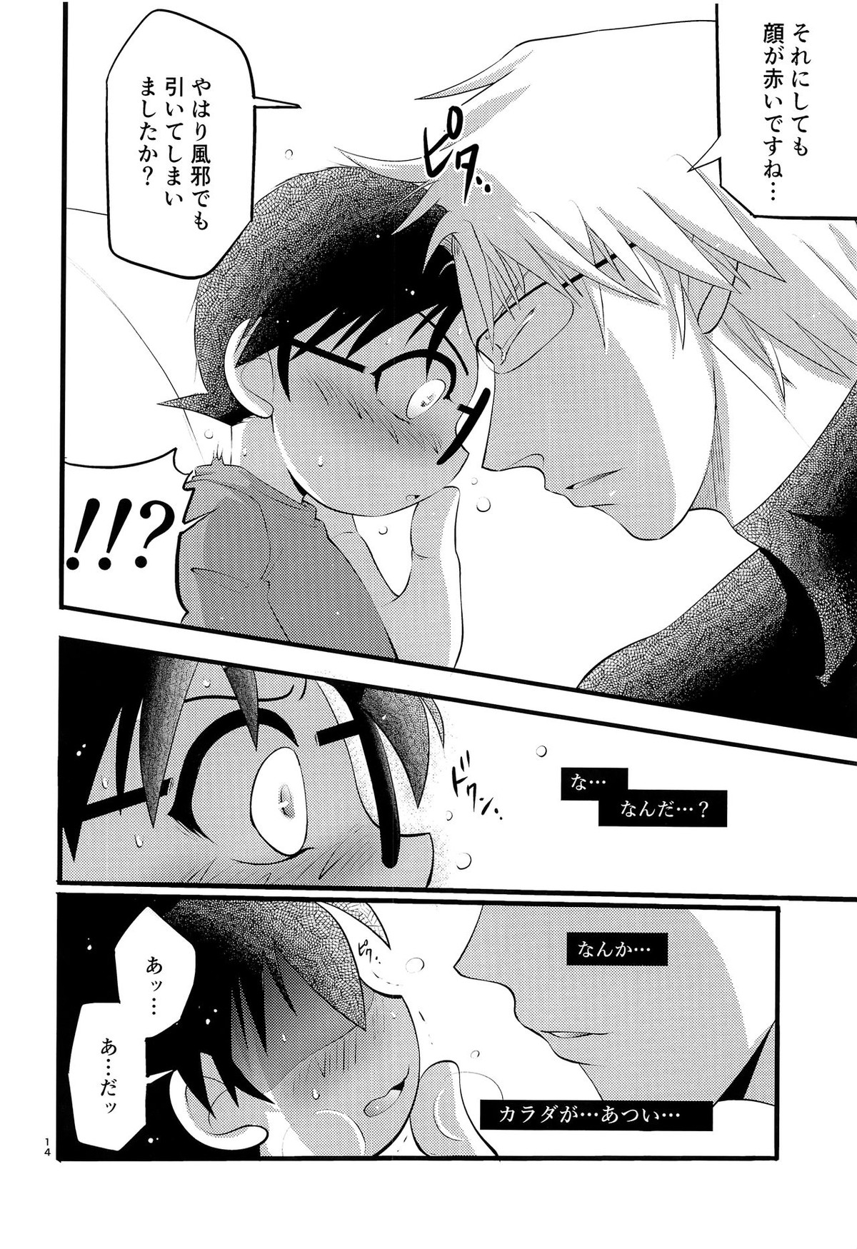 堕【名探偵コナン/昴コ】 page 15