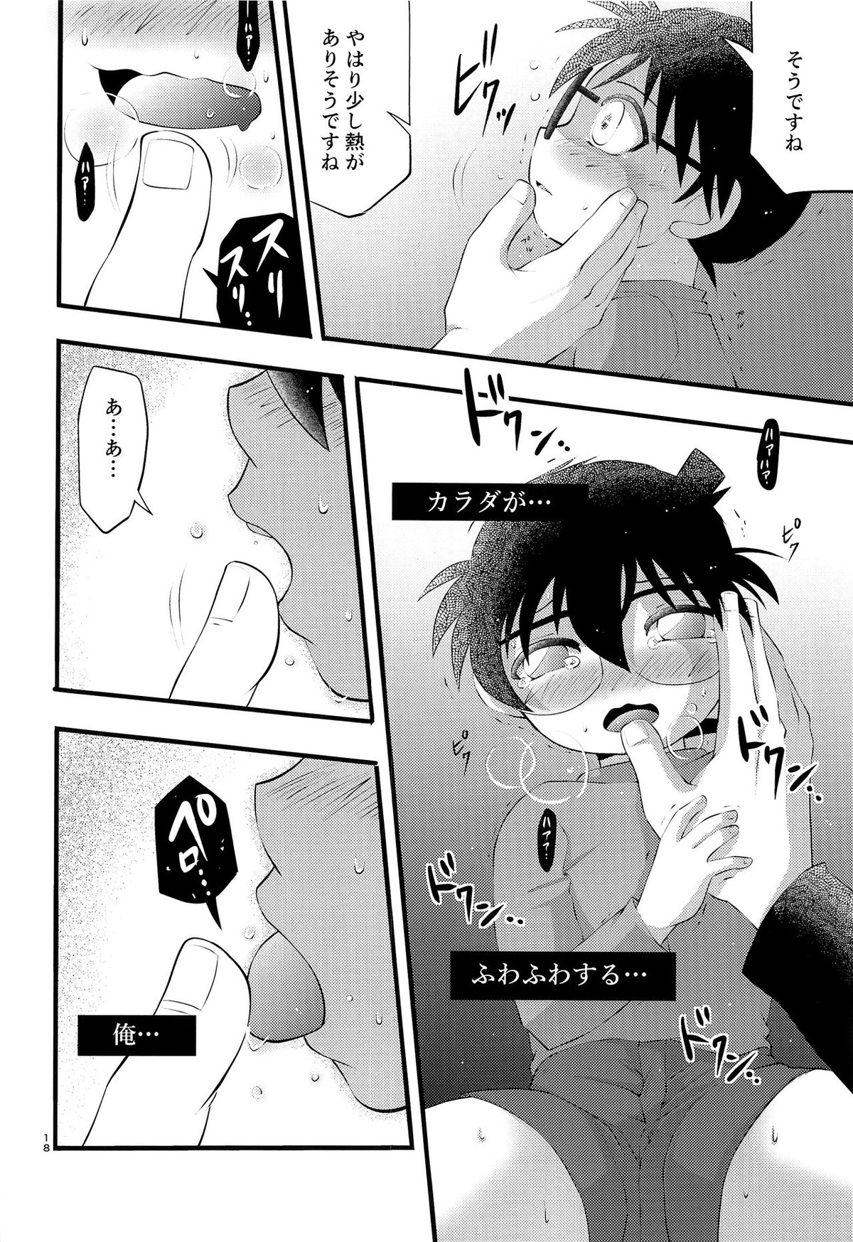 堕【名探偵コナン/昴コ】 page 19