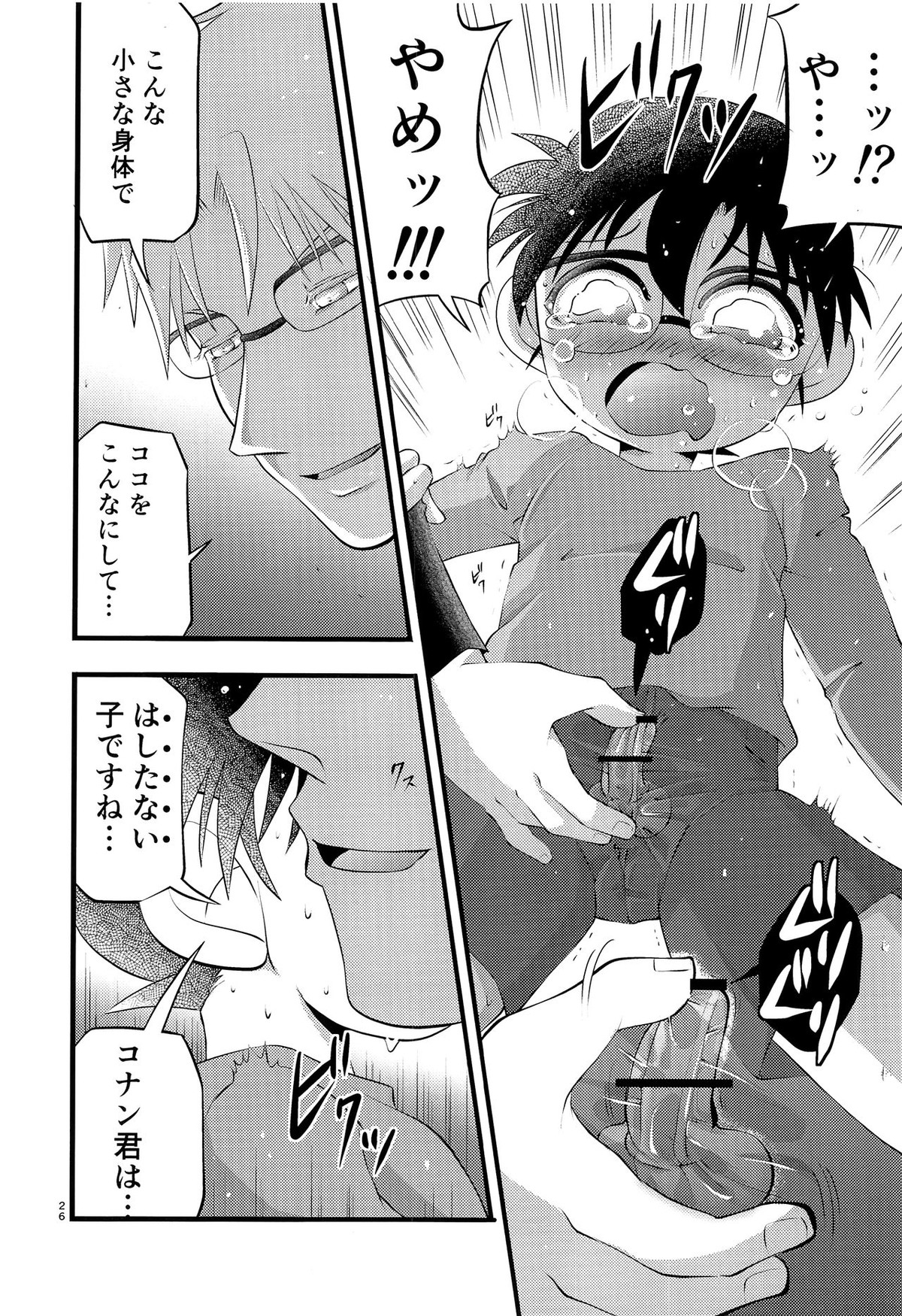 堕【名探偵コナン/昴コ】 page 27
