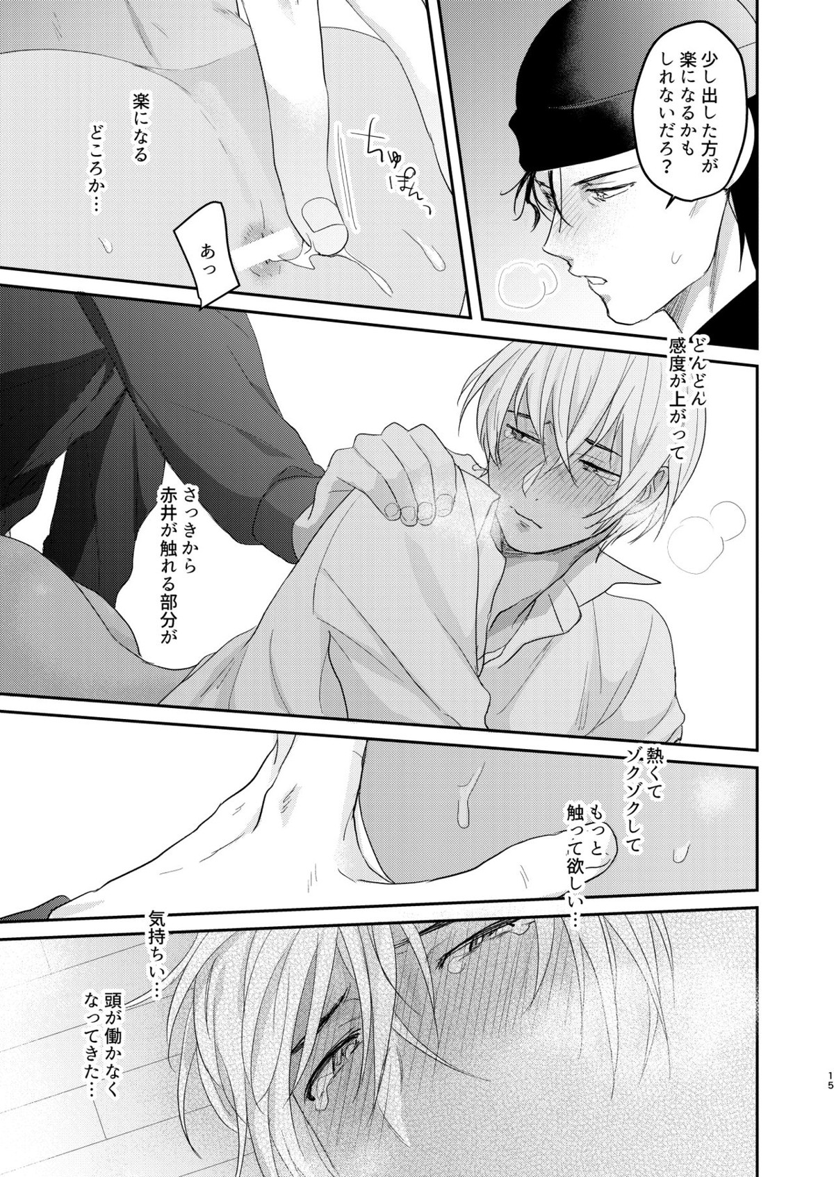 トロトロブック【名探偵コナン/赤降(赤井×降谷)】 page 14
