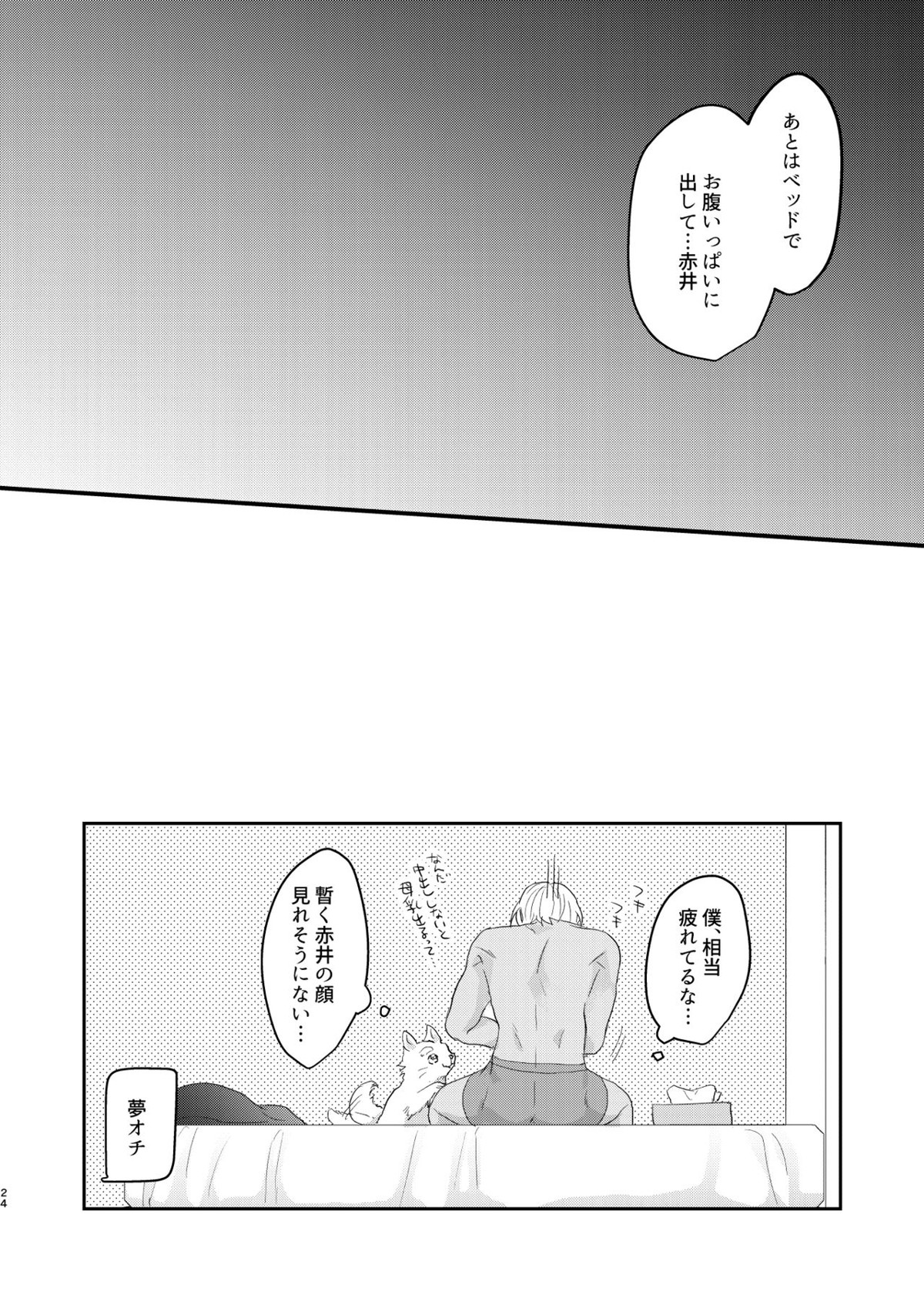 トロトロブック【名探偵コナン/赤降(赤井×降谷)】 page 23