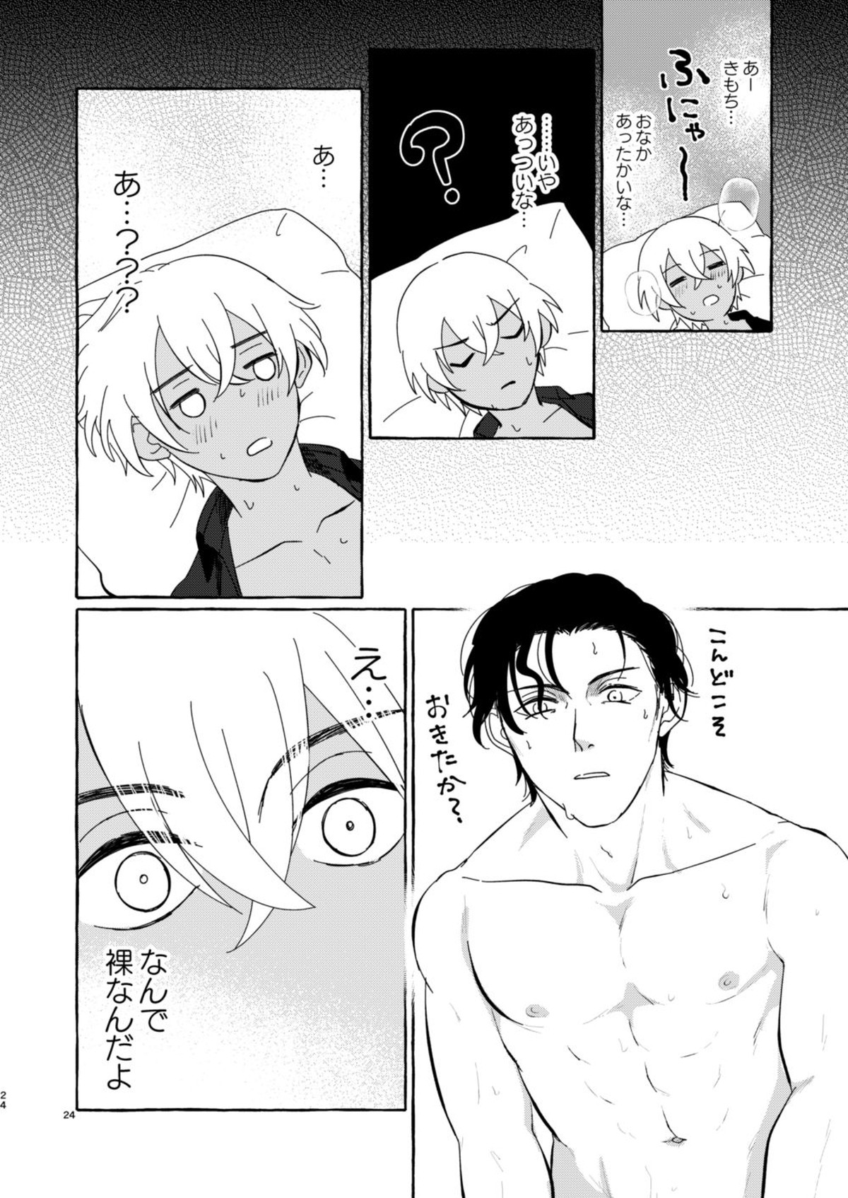 今夜は絶対！【名探偵コナン/赤降(赤井×降谷)】 page 23