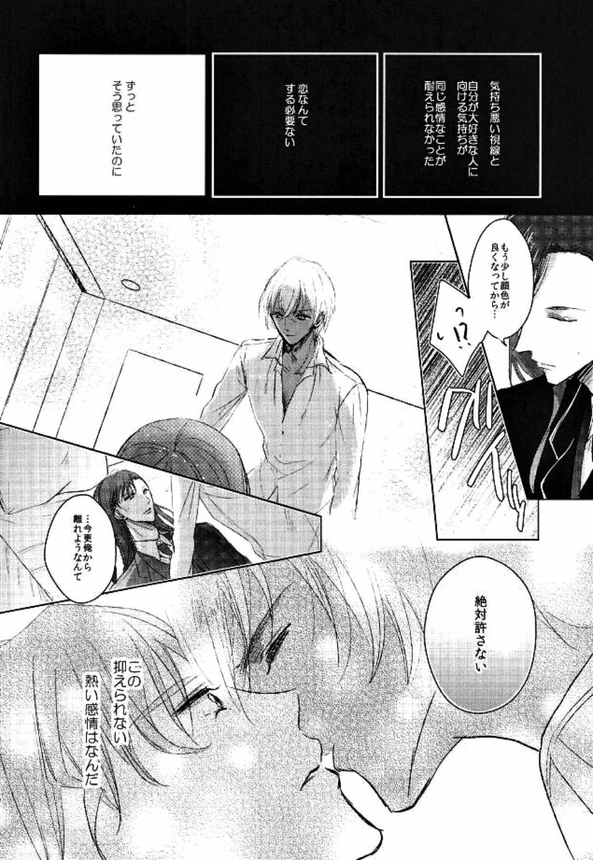 Ephemeral Love【名探偵コナン/赤降(赤井×降谷)】 page 15