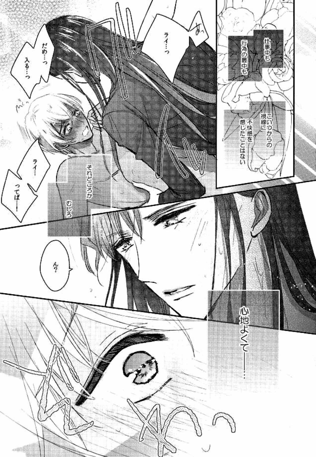Ephemeral Love【名探偵コナン/赤降(赤井×降谷)】 page 20