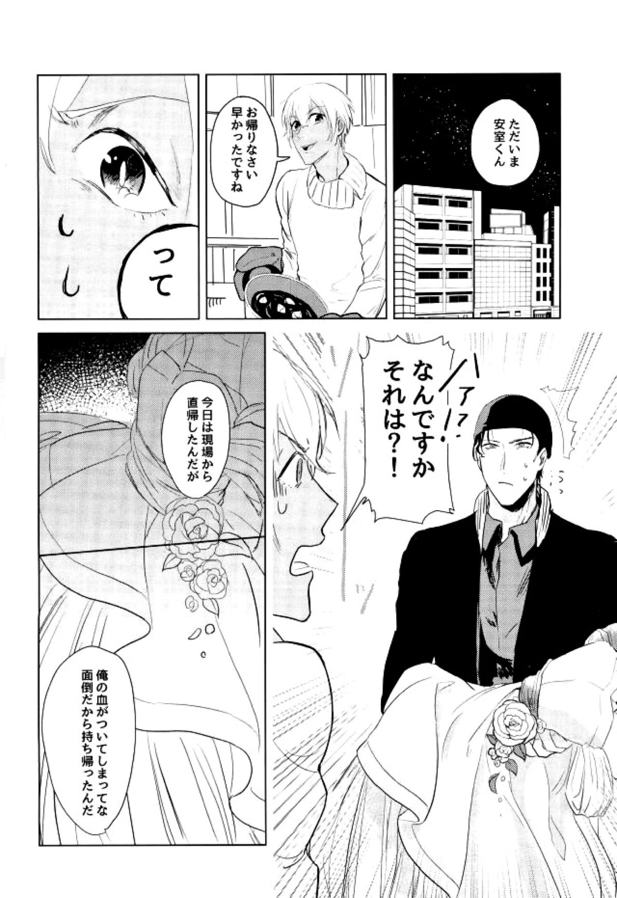 たくさん仲良ししましょうね【名探偵コナン/赤降(赤井×降谷)】 page 14