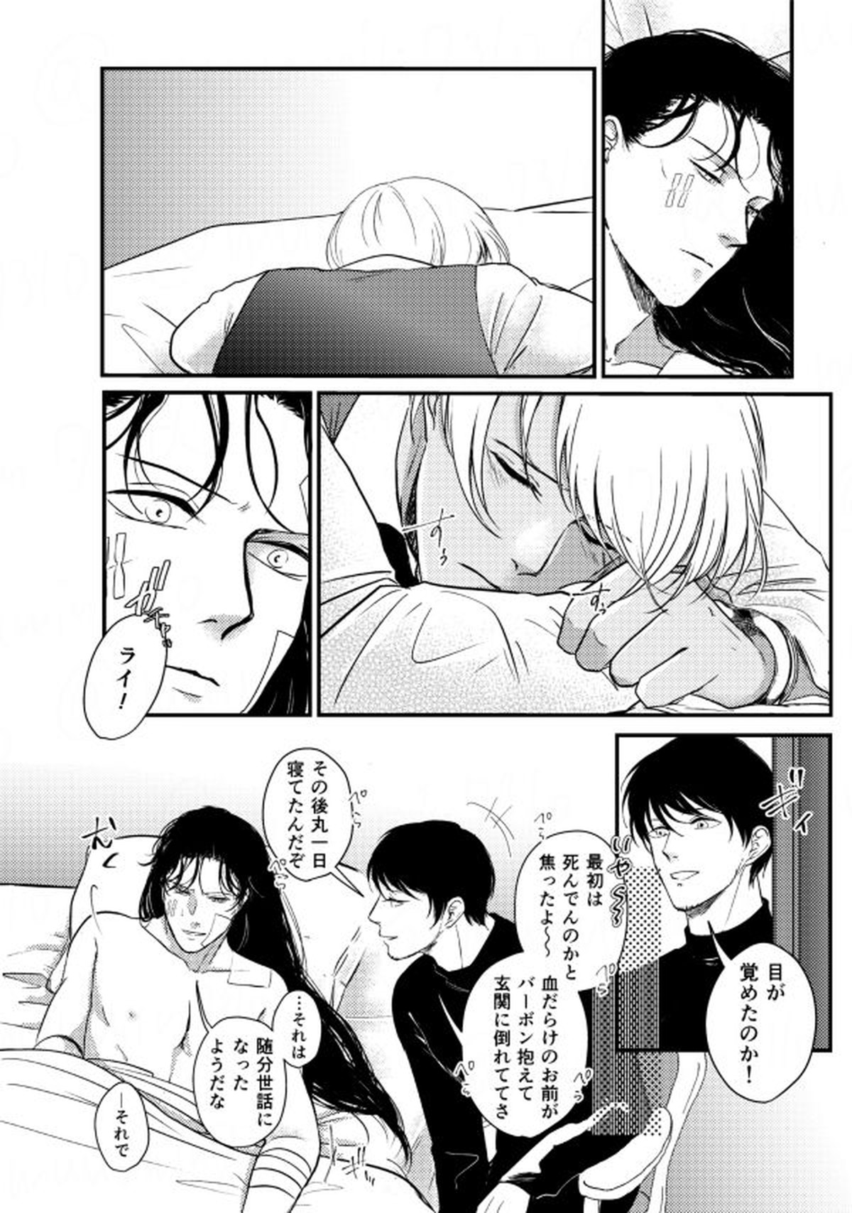 ウイスキーたちは暗闇の中で【名探偵コナン/赤降(赤井×降谷)】 page 31