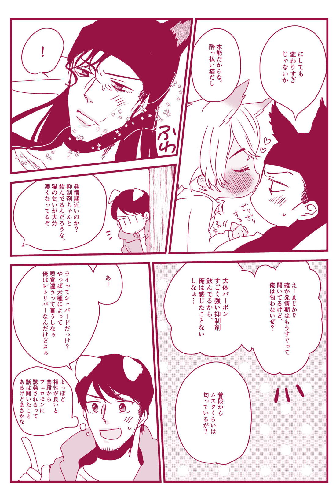 発情期なんかこわくないっ【名探偵コナン/ライバボ】 page 12