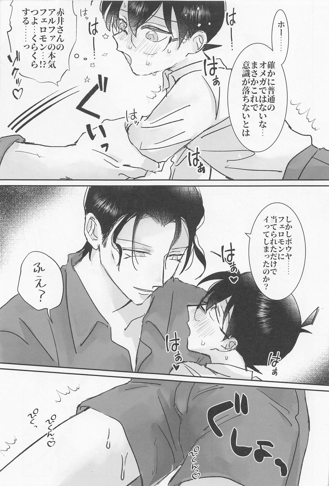 Burn．【名探偵コナン/赤コ】 page 14