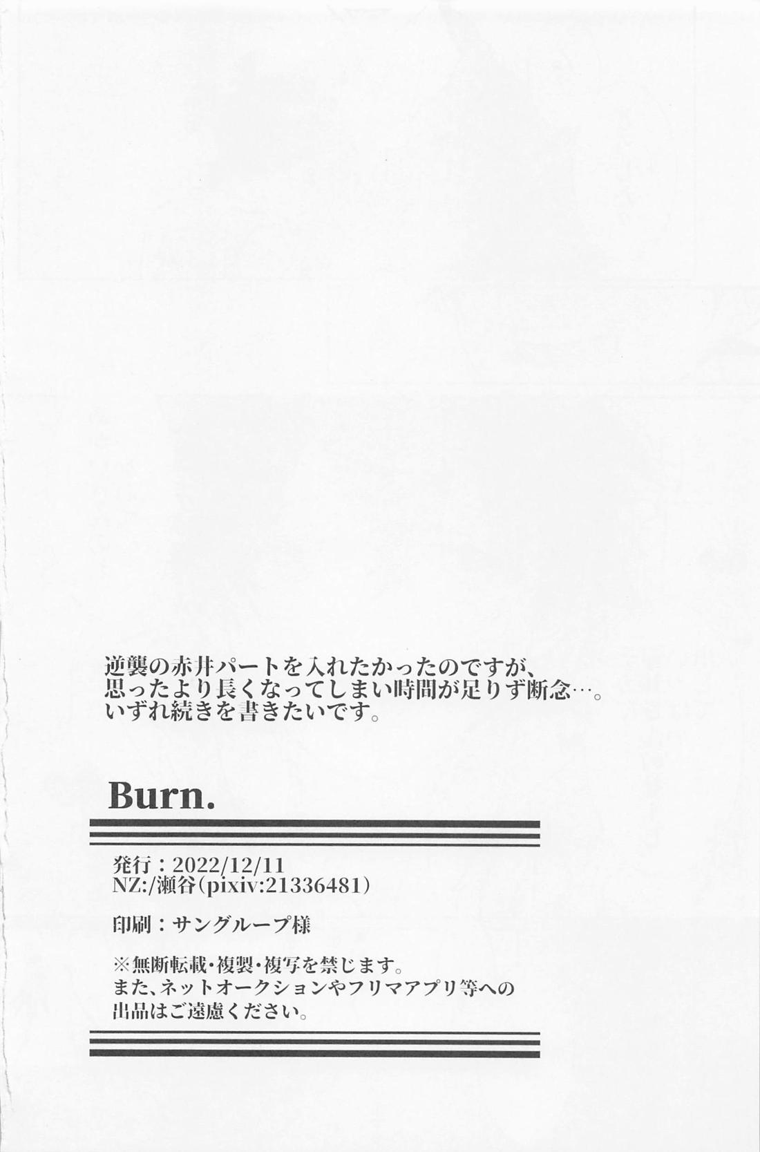 Burn．【名探偵コナン/赤コ】 page 17
