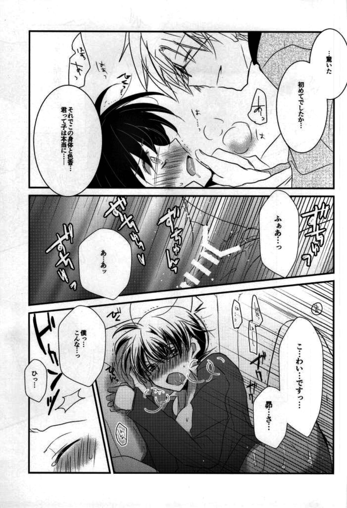 シルバーブレットは撃ち抜けない【名探偵コナン/沖矢昴×新一】 page 12