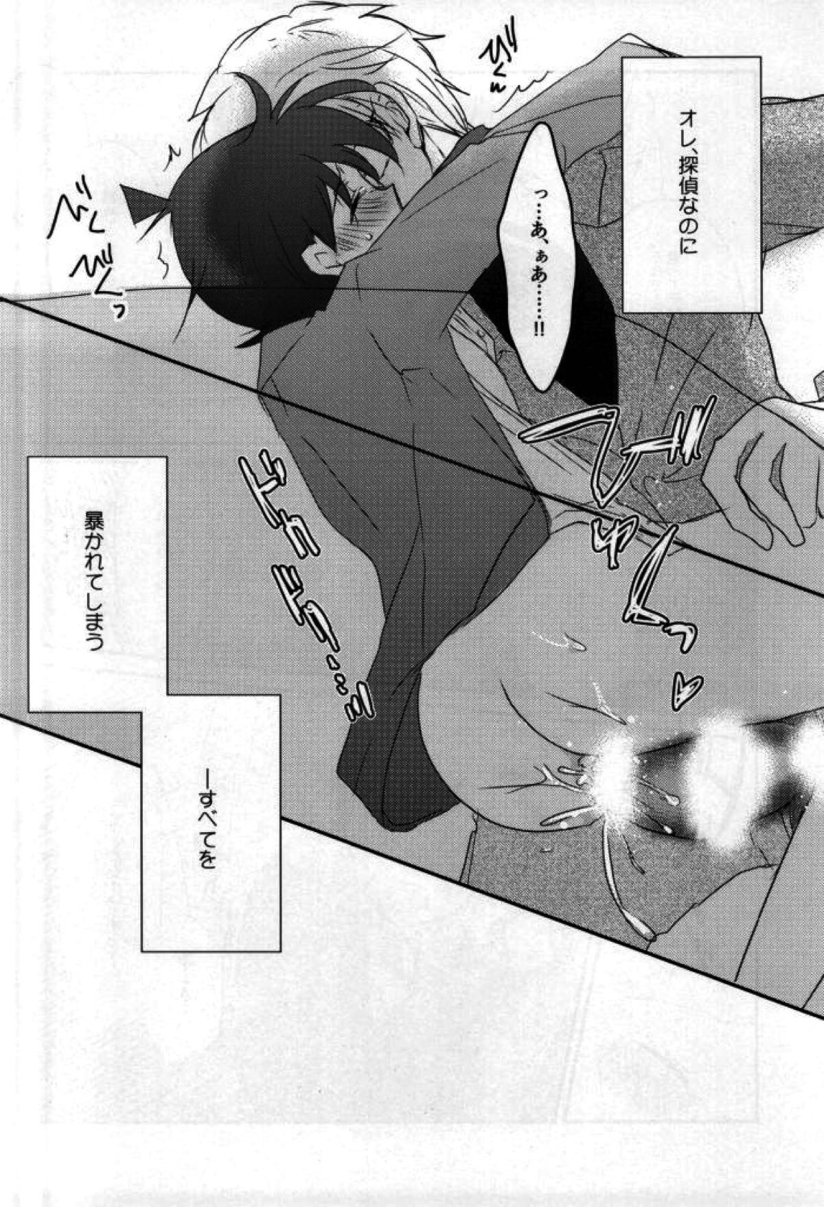 シルバーブレットは撃ち抜けない【名探偵コナン/沖矢昴×新一】 page 13