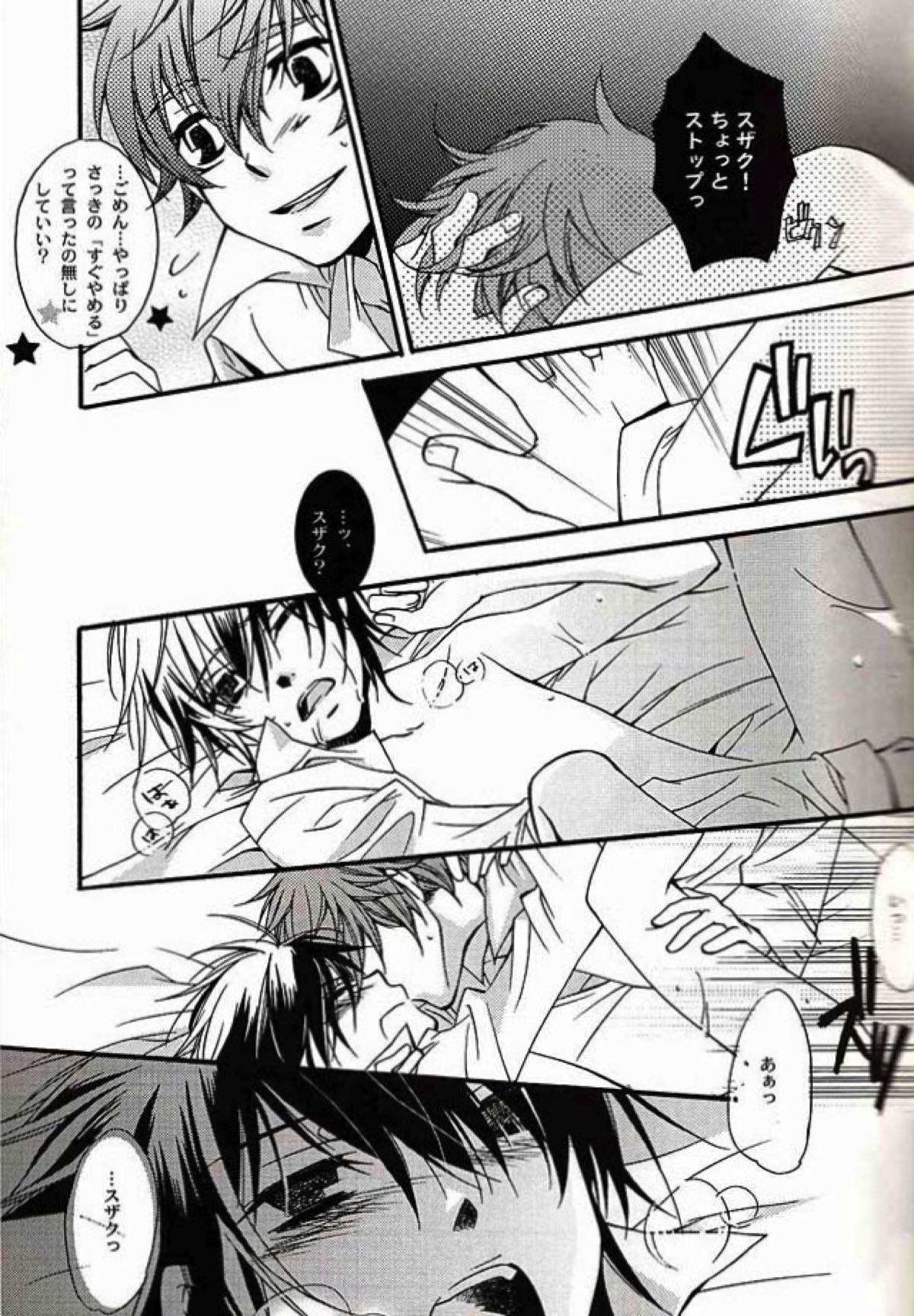HERO COMPLEX【コードギアス/スザルル】 page 11