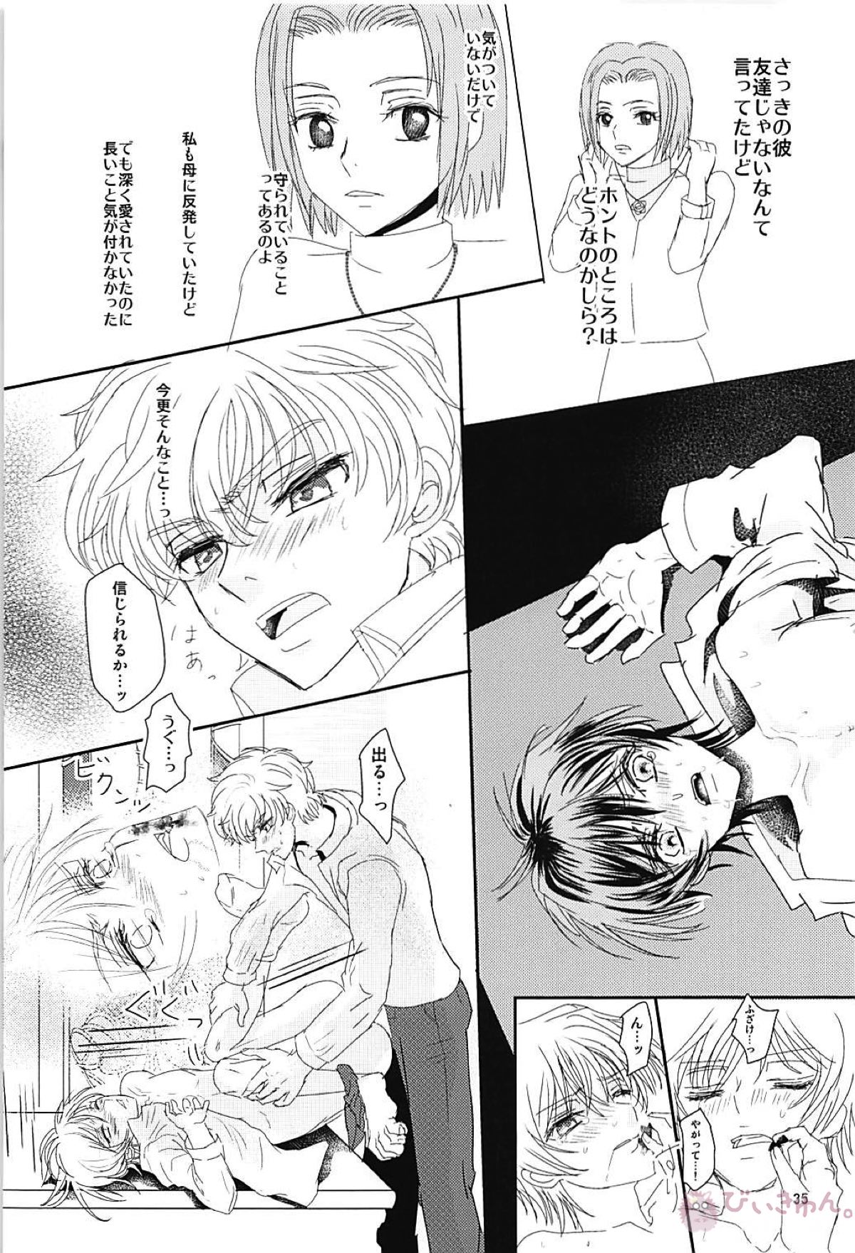 ディアボロス2【コードギアス/スザルル】 page 33