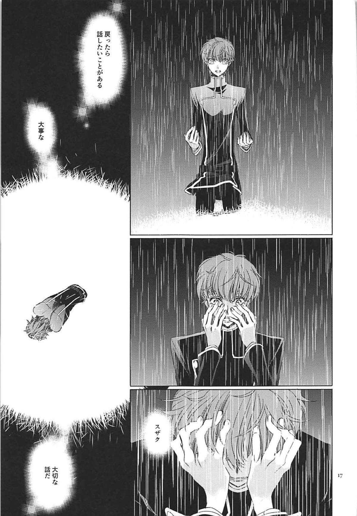 針の筵【コードギアス/スザルル】 page 16