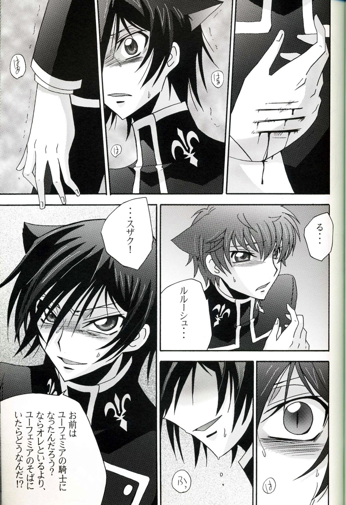 ネコのキモチ 2【コードギアス/スザルル】 page 11