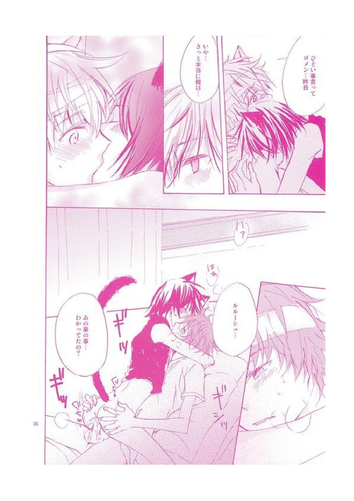 にゃんちゅっちゅっ2【コードギアス/スザルル】 page 27