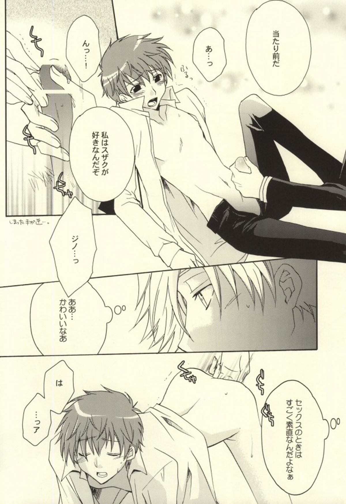 REC●【コードギアス/ジノスザ】 page 29