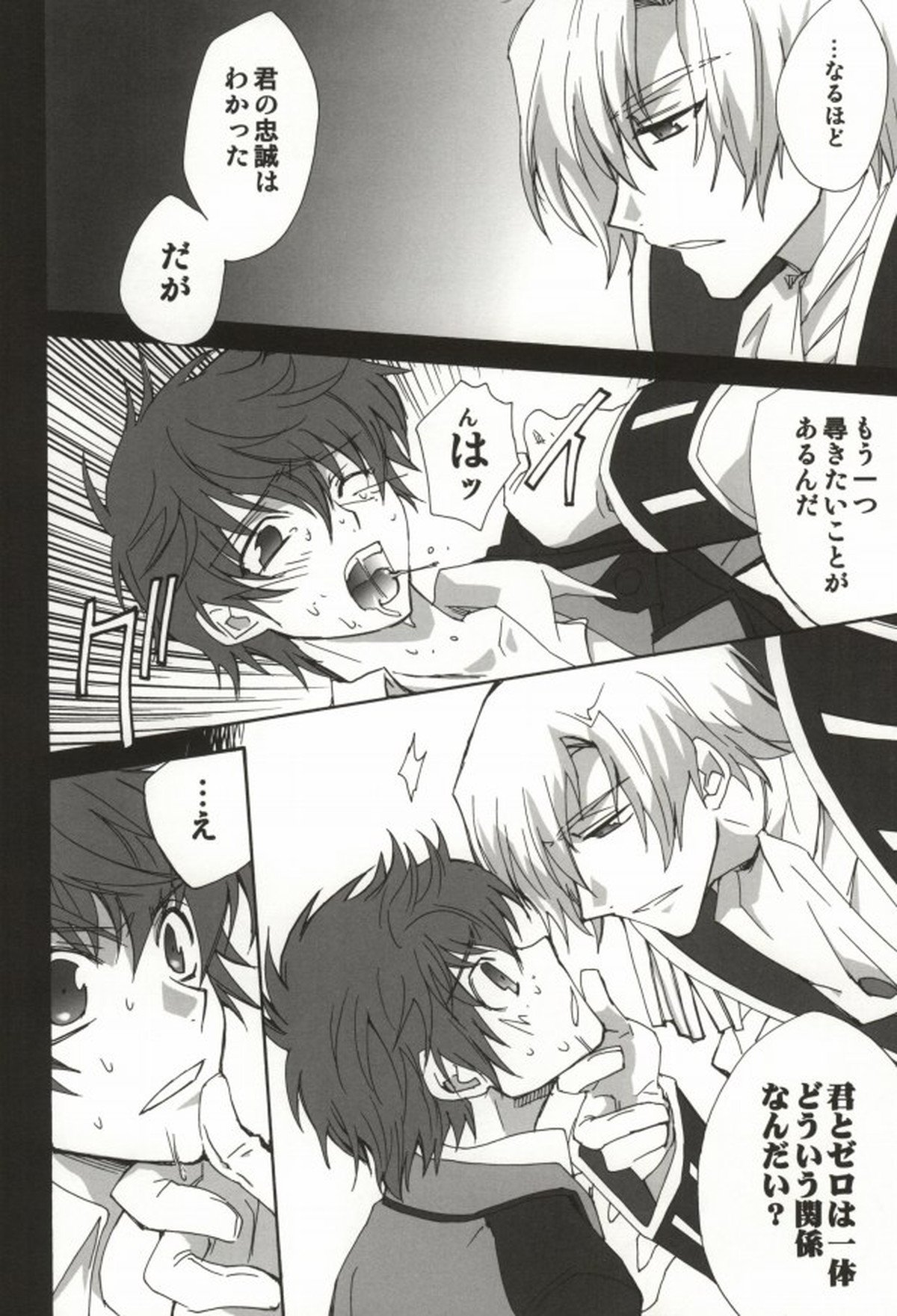 兄MAX【コードギアス/シュナスザ】 page 13