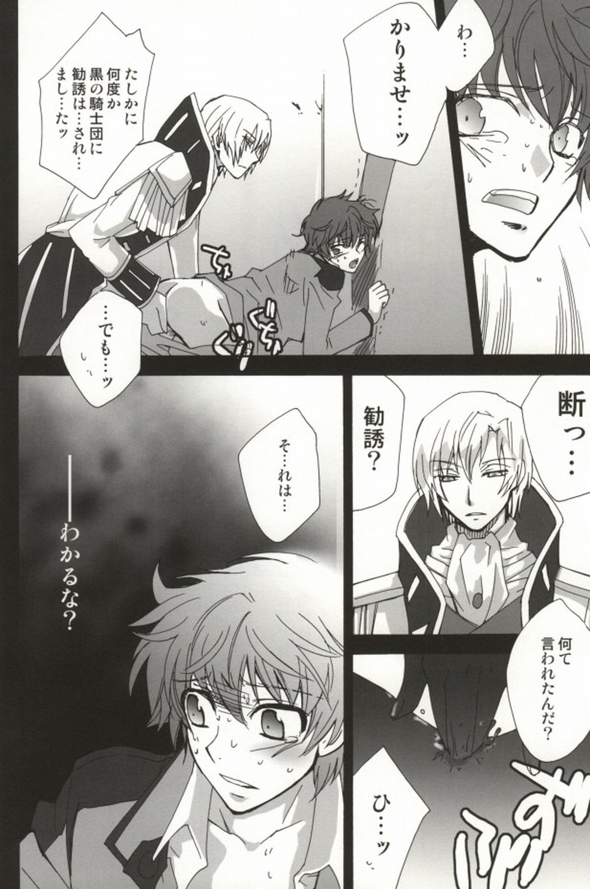 兄MAX【コードギアス/シュナスザ】 page 17