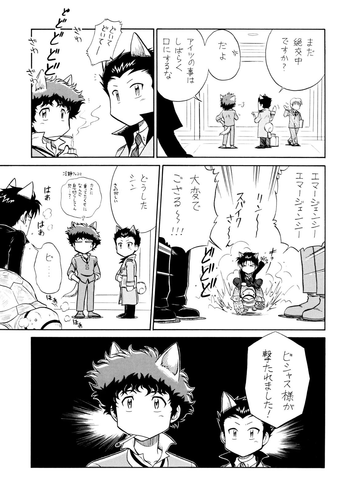 VS【カウボーイビバップ】 page 12