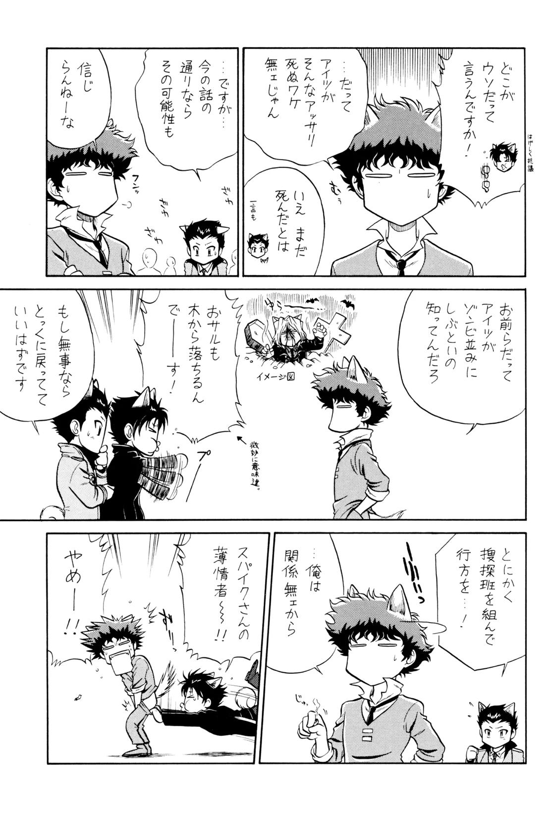 VS【カウボーイビバップ】 page 14