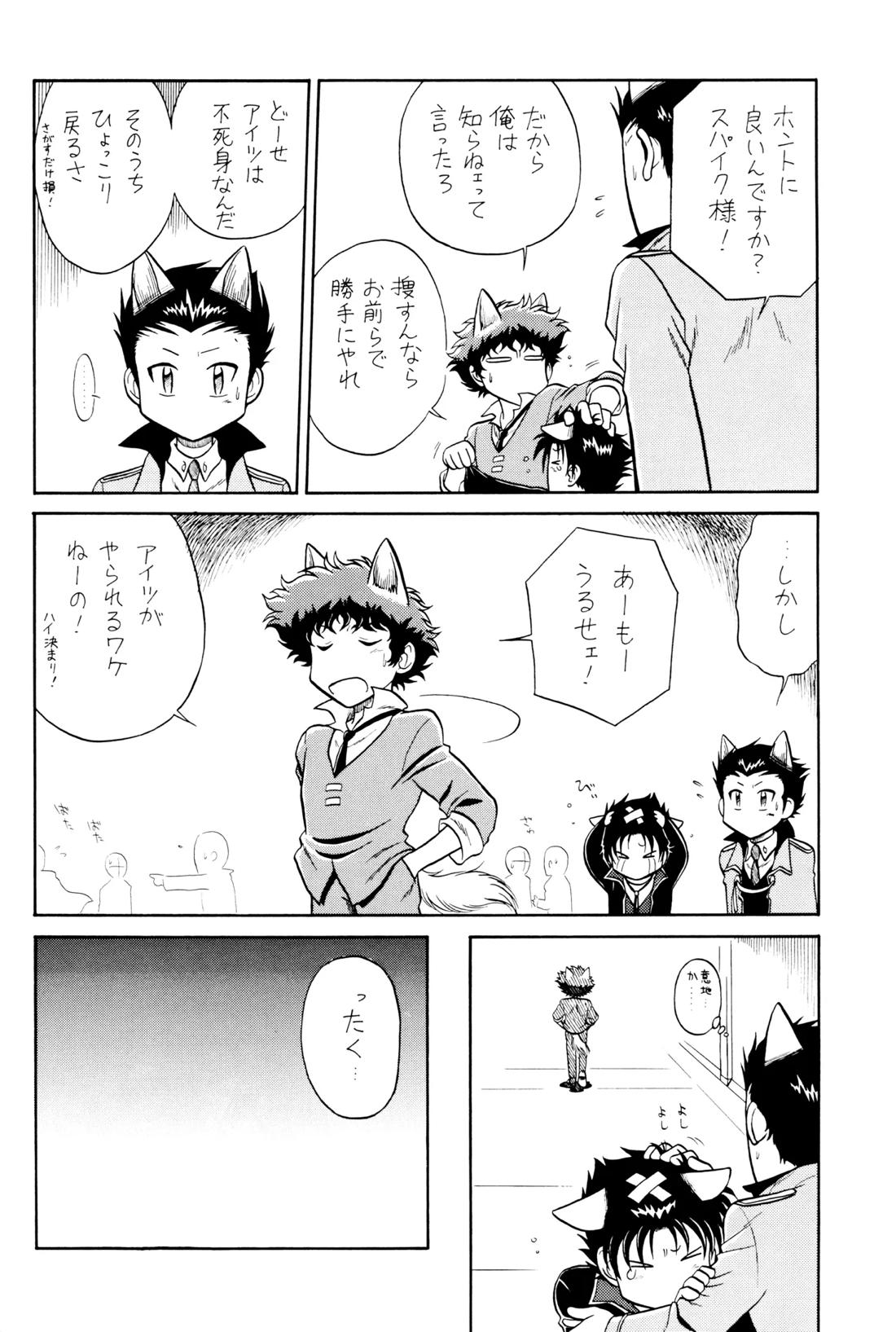 VS【カウボーイビバップ】 page 15