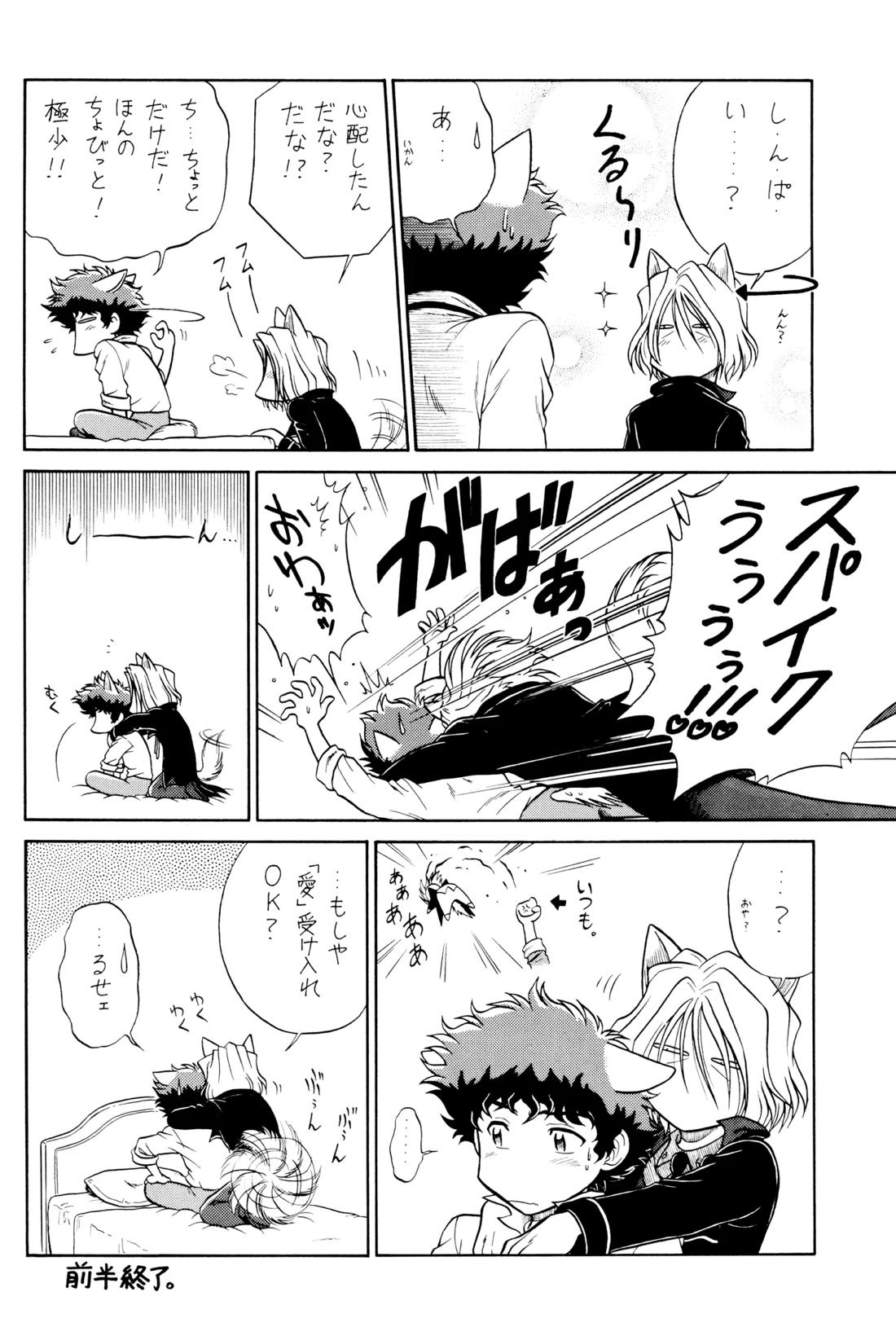 VS【カウボーイビバップ】 page 21