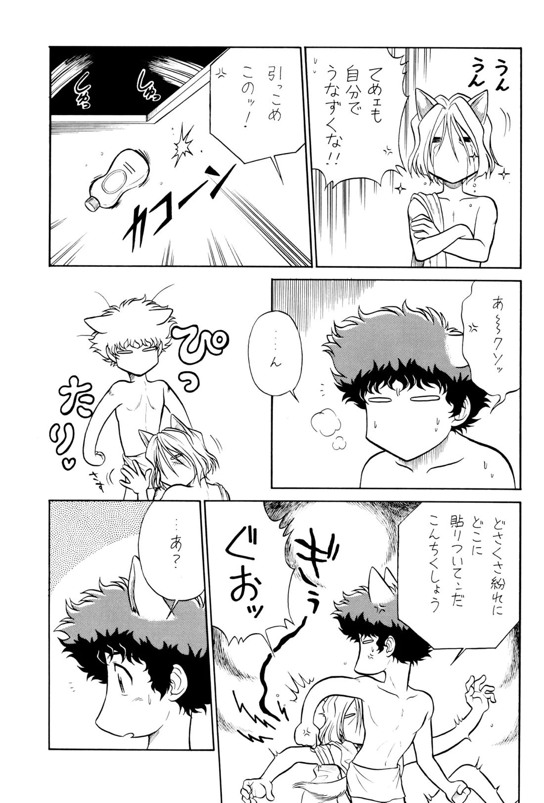 VS【カウボーイビバップ】 page 28