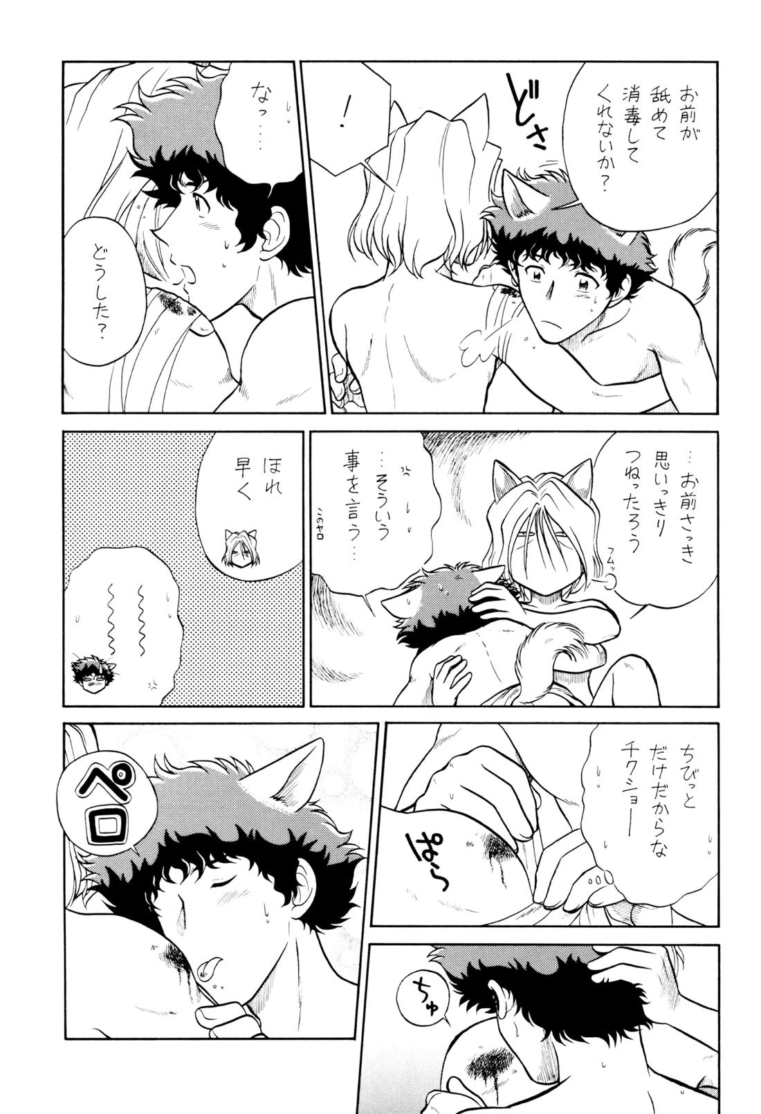 VS【カウボーイビバップ】 page 30
