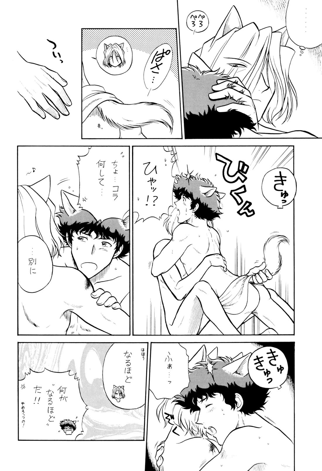 VS【カウボーイビバップ】 page 31