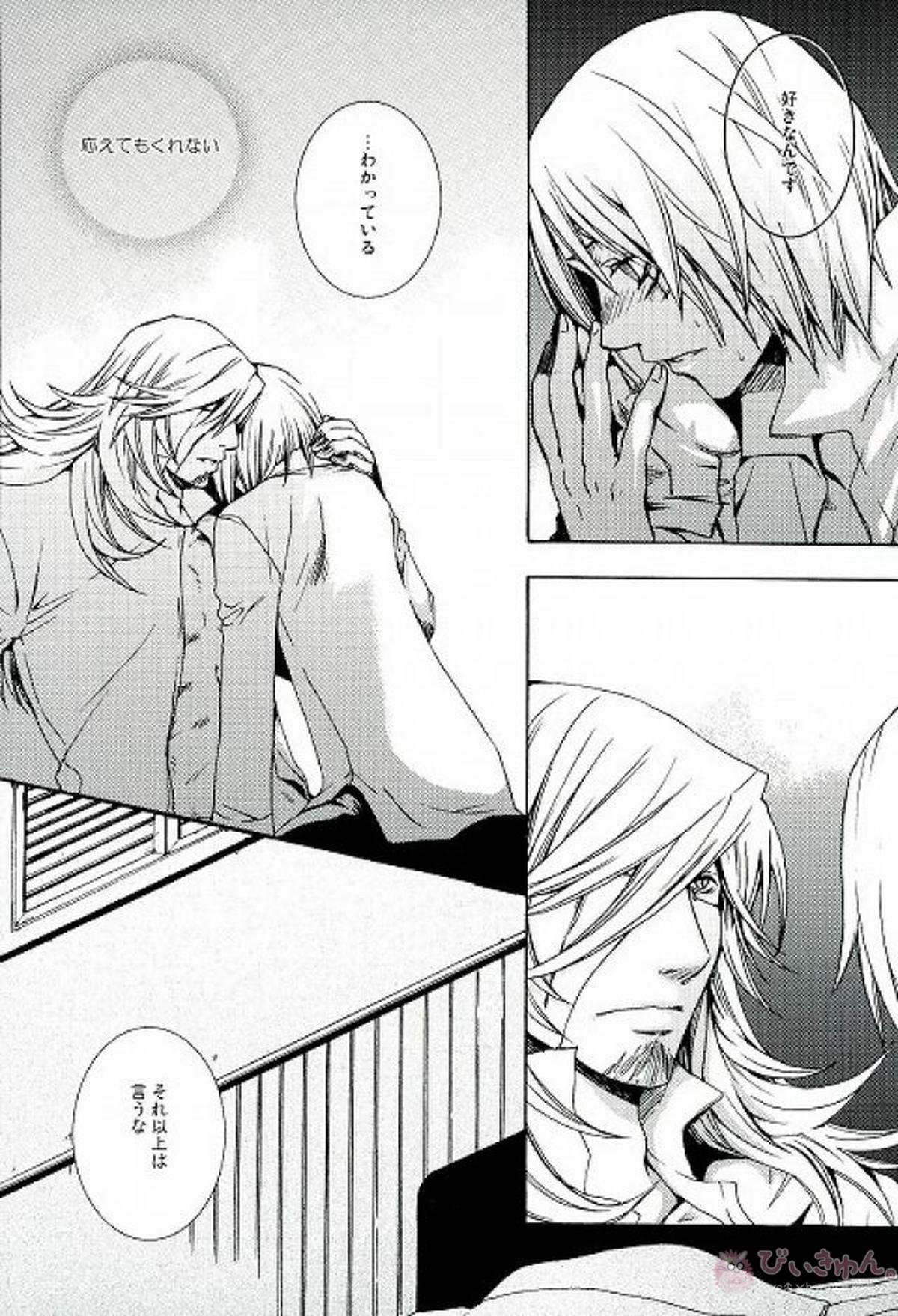 RAVEN AND DOVE【D.Gray-man/クロスマリアン×アレン】 page 12