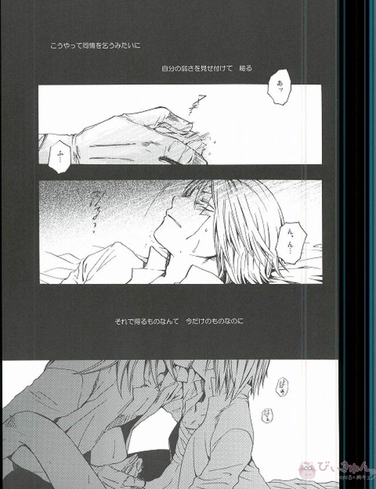 RAVEN AND DOVE【D.Gray-man/クロスマリアン×アレン】 page 13