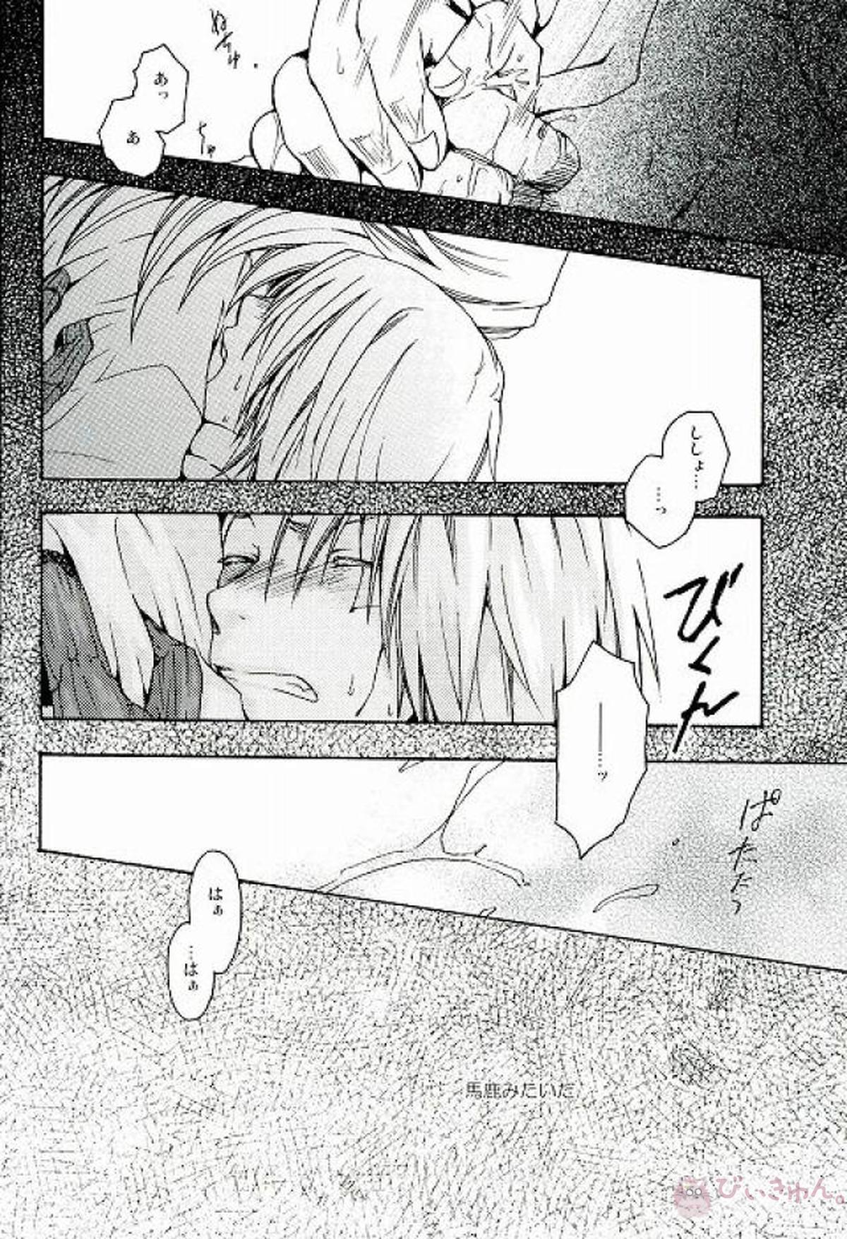 RAVEN AND DOVE【D.Gray-man/クロスマリアン×アレン】 page 14