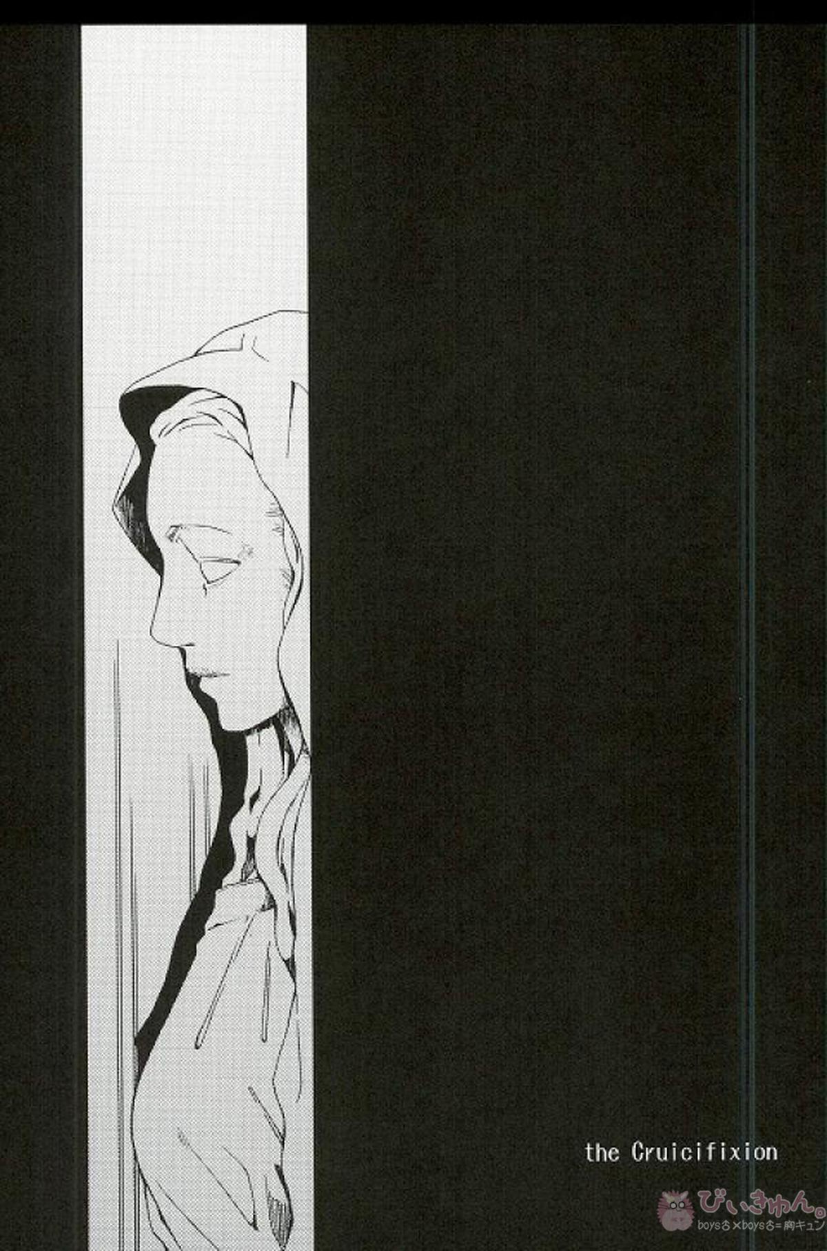RAVEN AND DOVE【D.Gray-man/クロスマリアン×アレン】 page 17