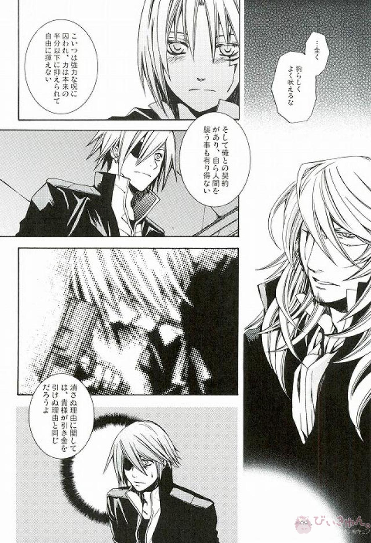 RAVEN AND DOVE【D.Gray-man/クロスマリアン×アレン】 page 22