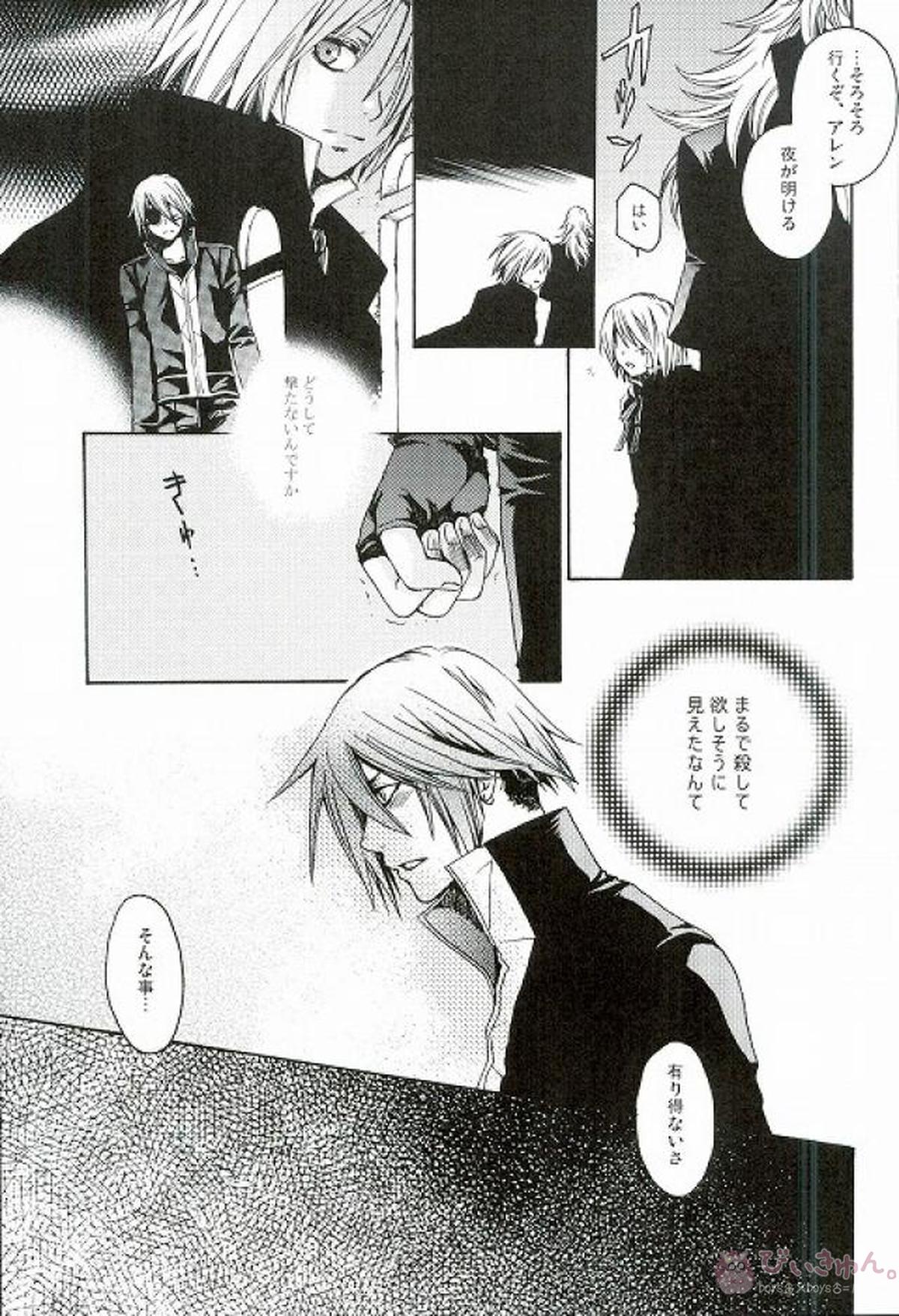 RAVEN AND DOVE【D.Gray-man/クロスマリアン×アレン】 page 23