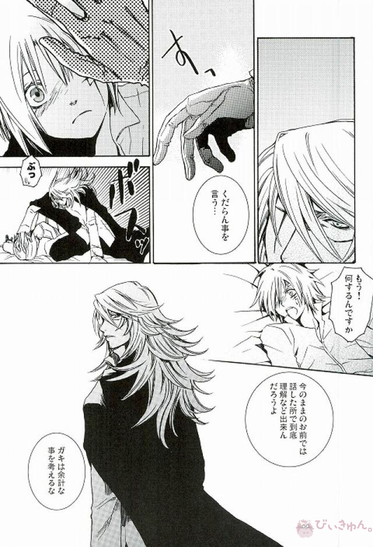 RAVEN AND DOVE【D.Gray-man/クロスマリアン×アレン】 page 27