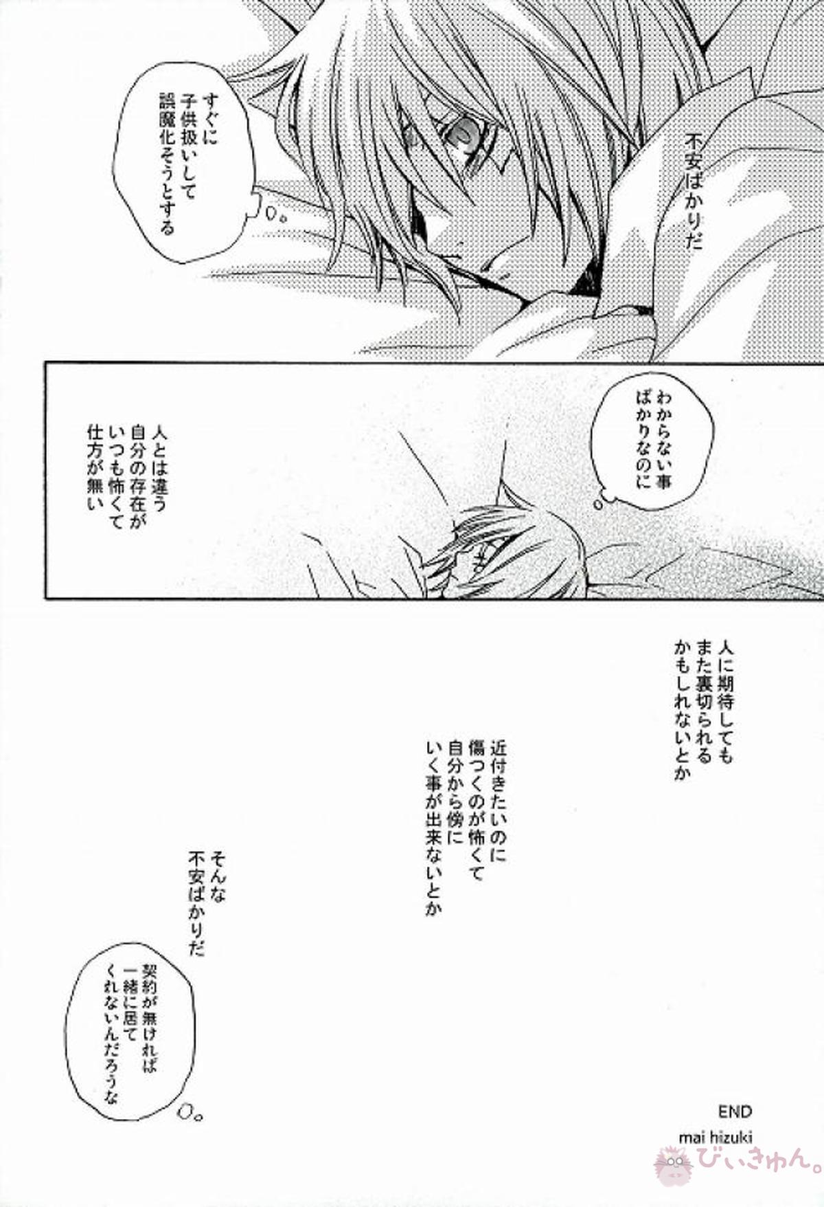RAVEN AND DOVE【D.Gray-man/クロスマリアン×アレン】 page 28