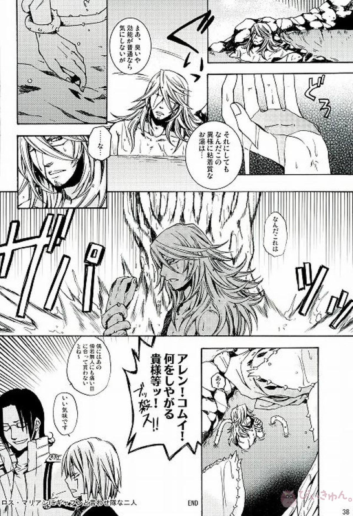 RAVEN AND DOVE【D.Gray-man/クロスマリアン×アレン】 page 30
