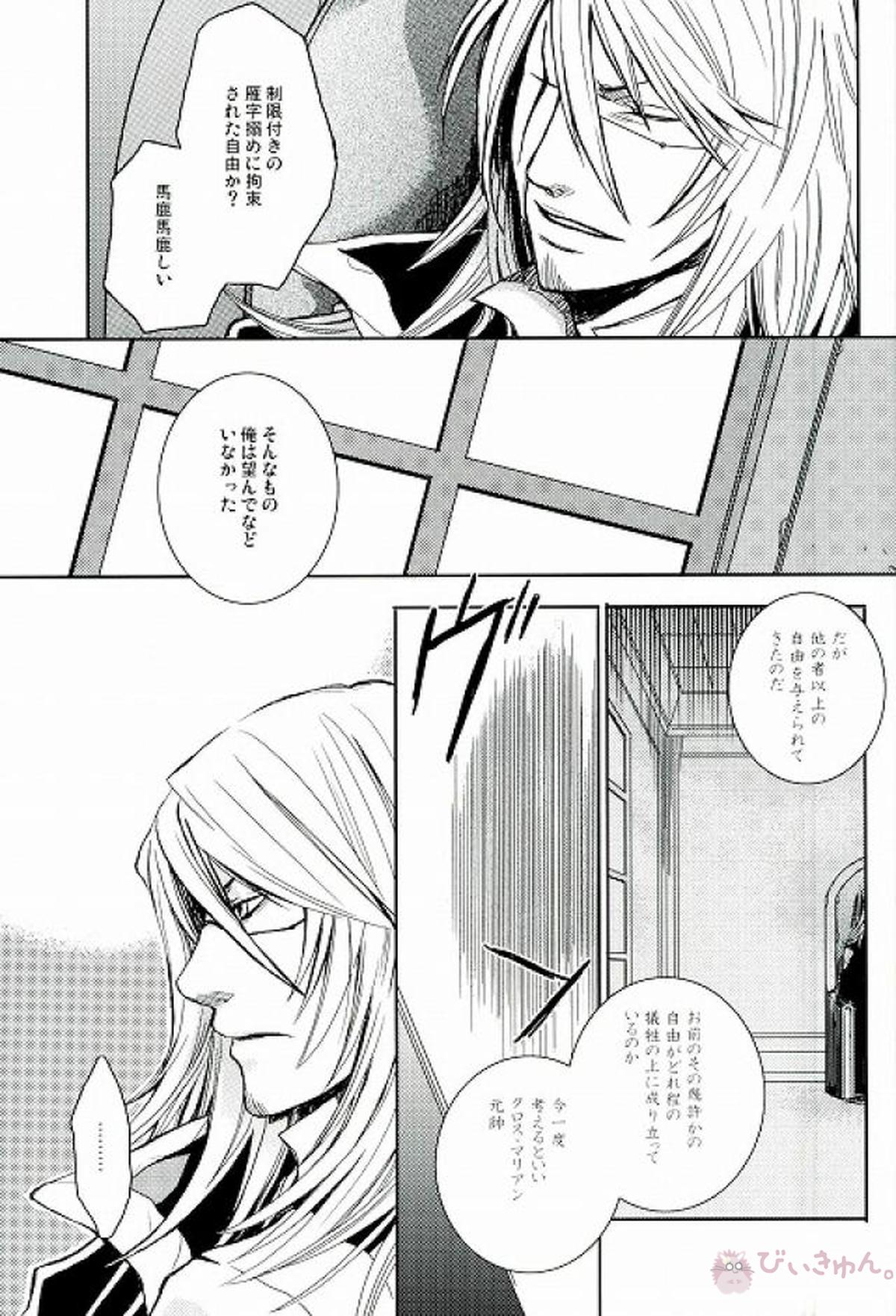 RAVEN AND DOVE【D.Gray-man/クロスマリアン×アレン】 page 37