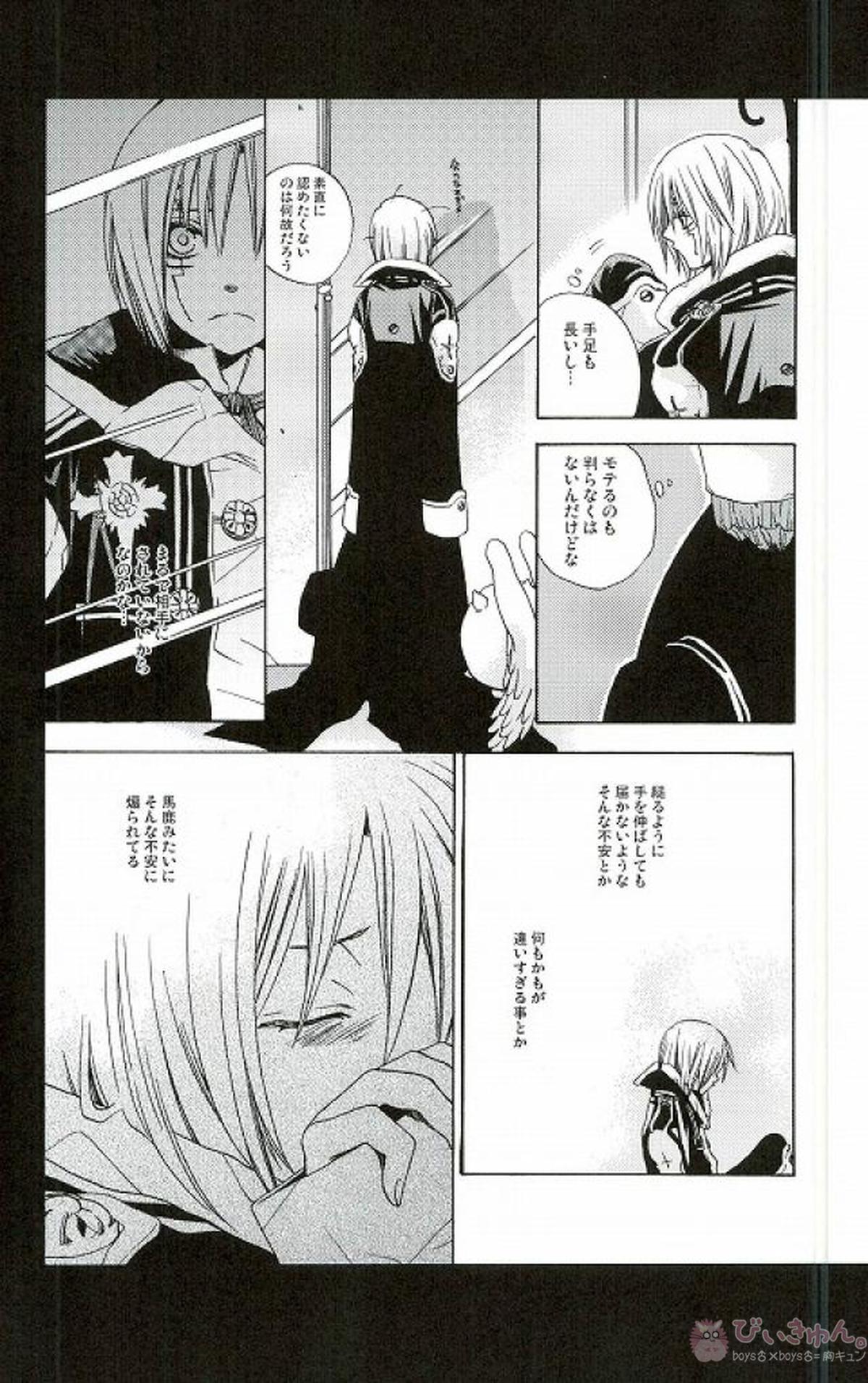 RAVEN AND DOVE【D.Gray-man/クロスマリアン×アレン】 page 47