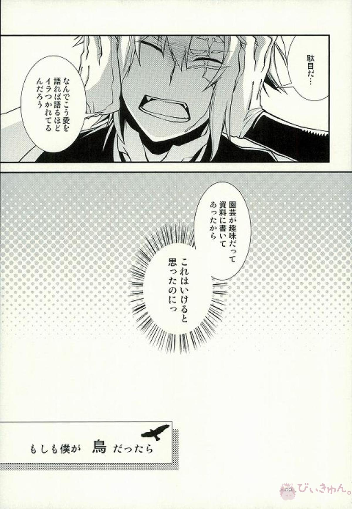 大好き!【D.Gray-man/アレ神(アレン×神田)】 page 12