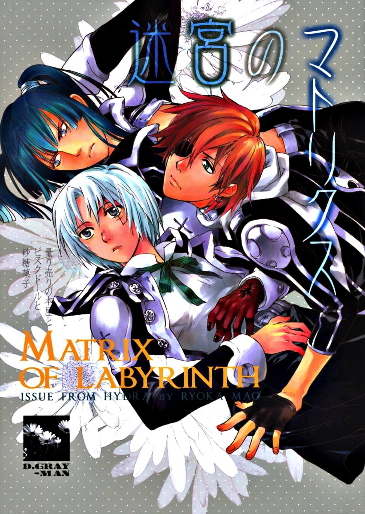 BL manga "迷宮のマトリクス【D.Gray-man/ラビアレ】" cover image