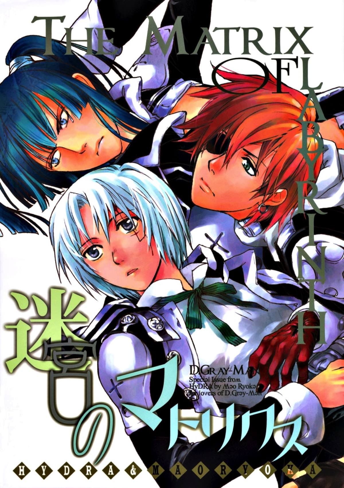 迷宮のマトリクス【D.Gray-man/ラビアレ】 page 21