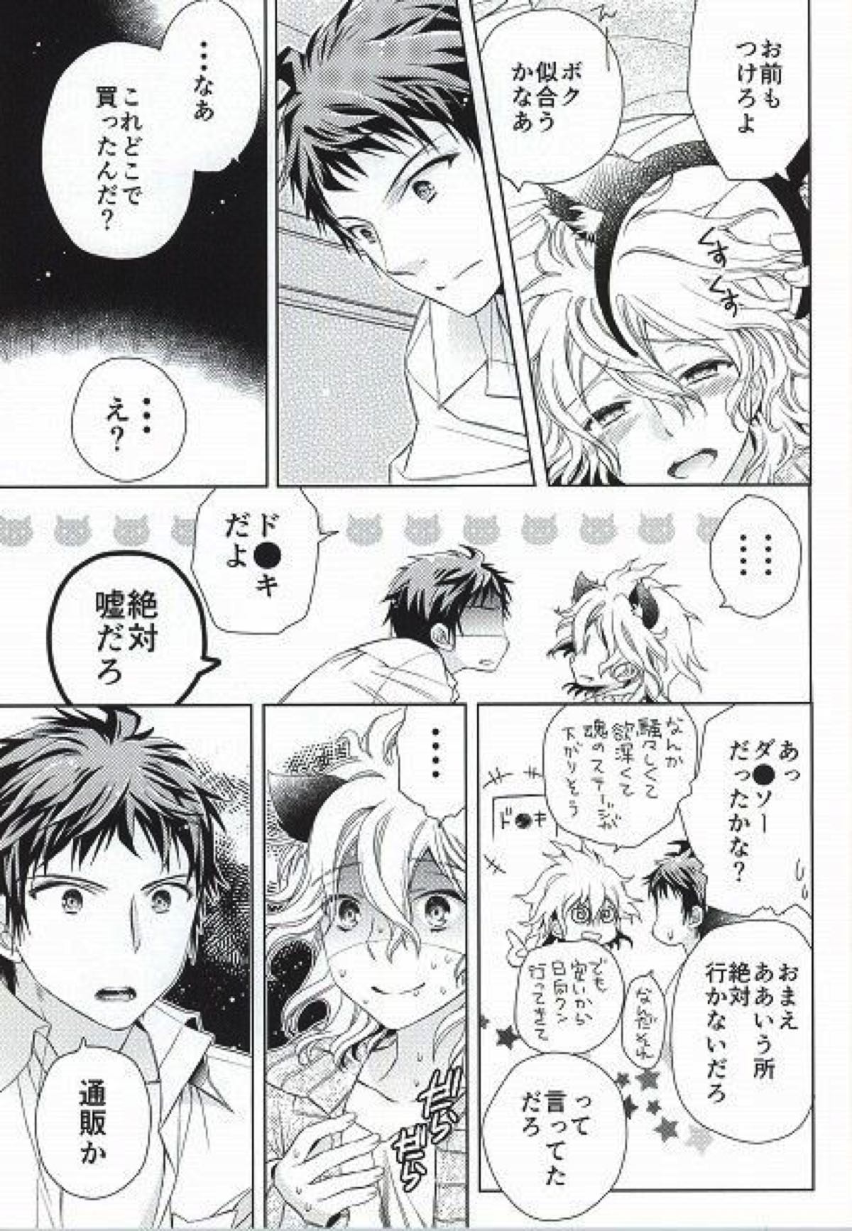 狛枝凪斗はネットショッピングがお得意【ダンガンロンパ/日狛】 page 13