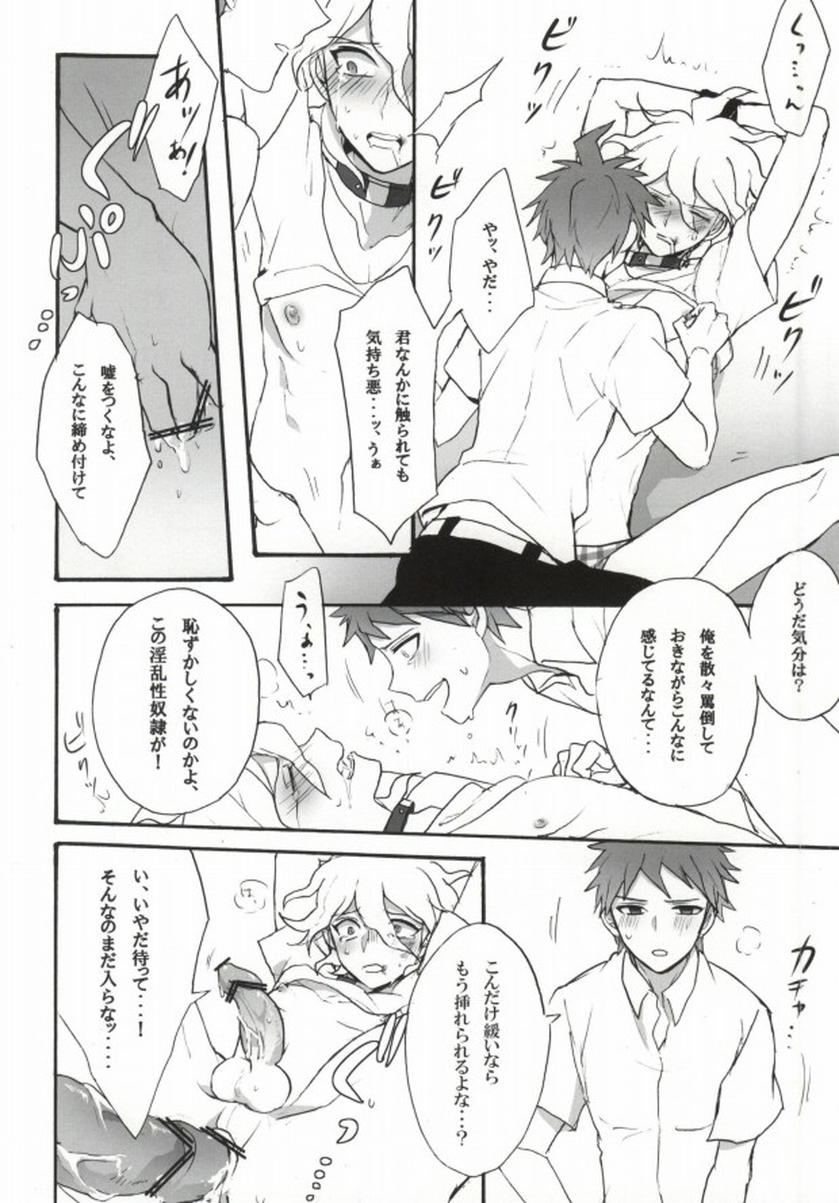 性××の狛枝を飼うハメになりました。【ダンガンロンパ/日狛】 page 24