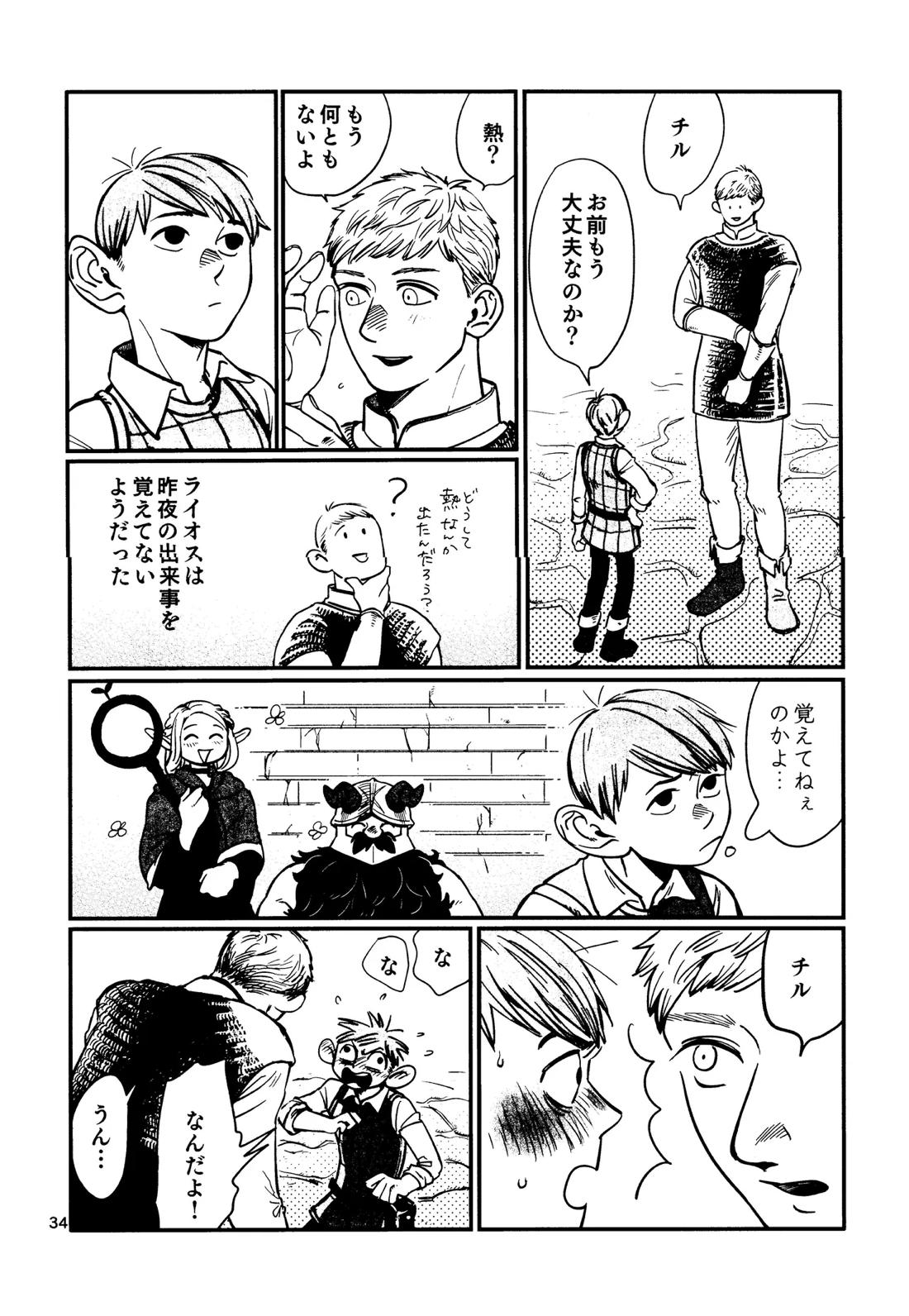 俺の歩くキノコがワルかった【ダンジョン飯/チルライ】 page 35