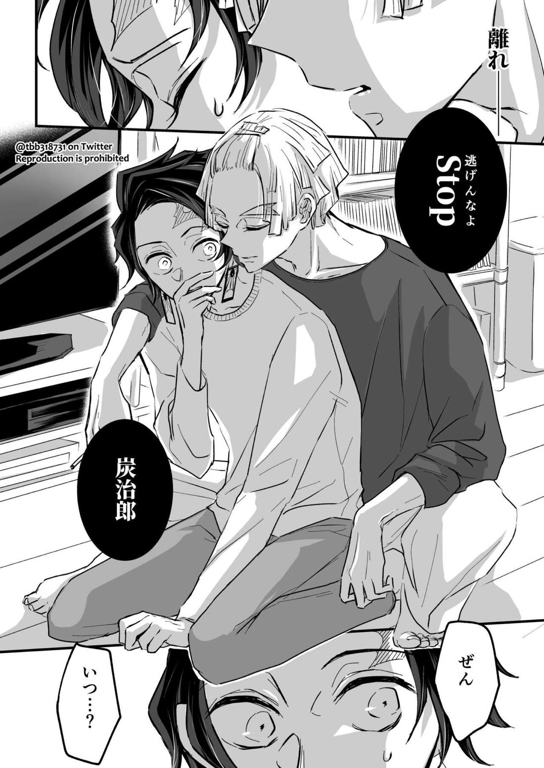竹炭玉簾③【鬼滅の刃/六炭】 page 13
